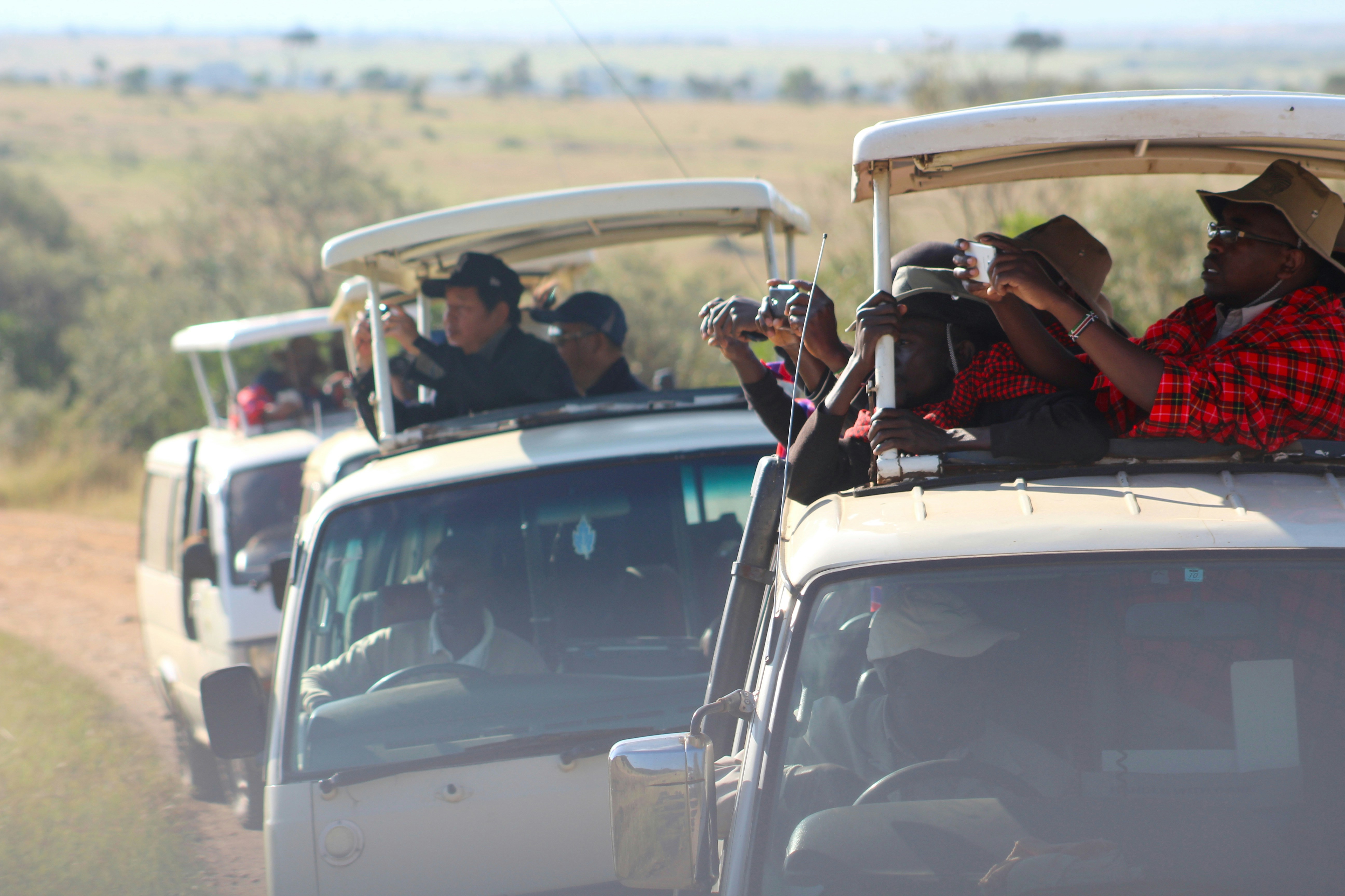 The Second Largest Migration on Safari - tourists