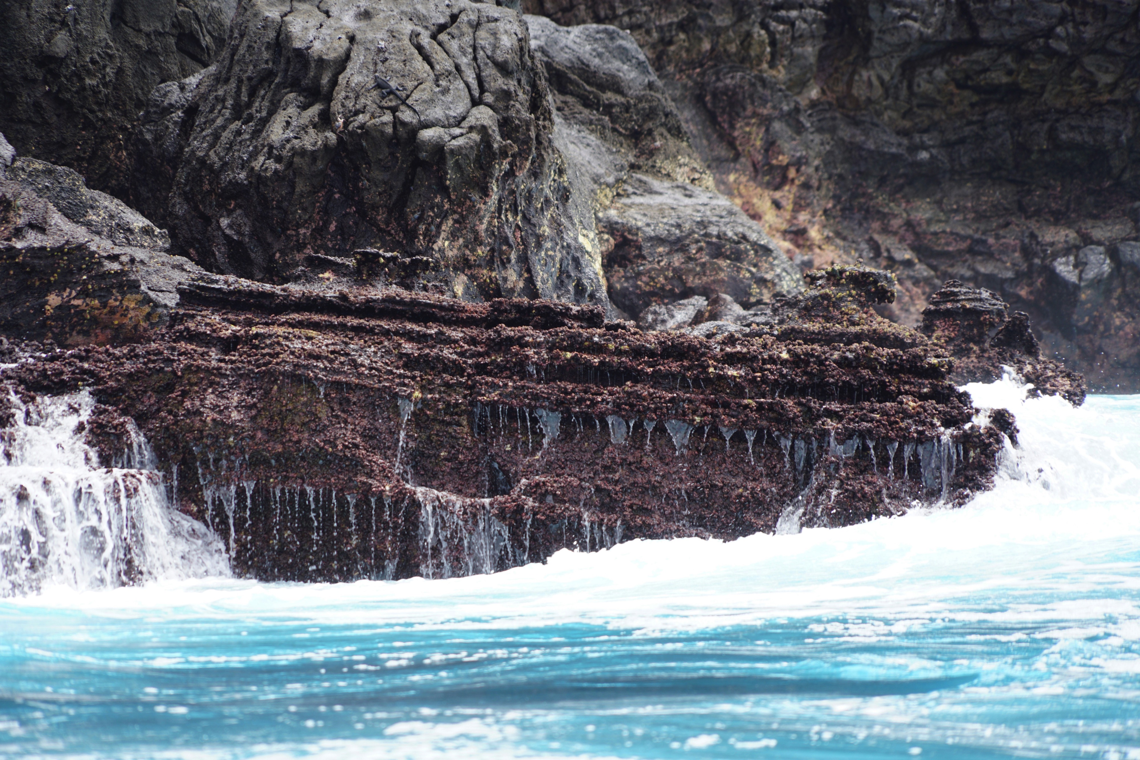 Galápagos Islands, Ecuador