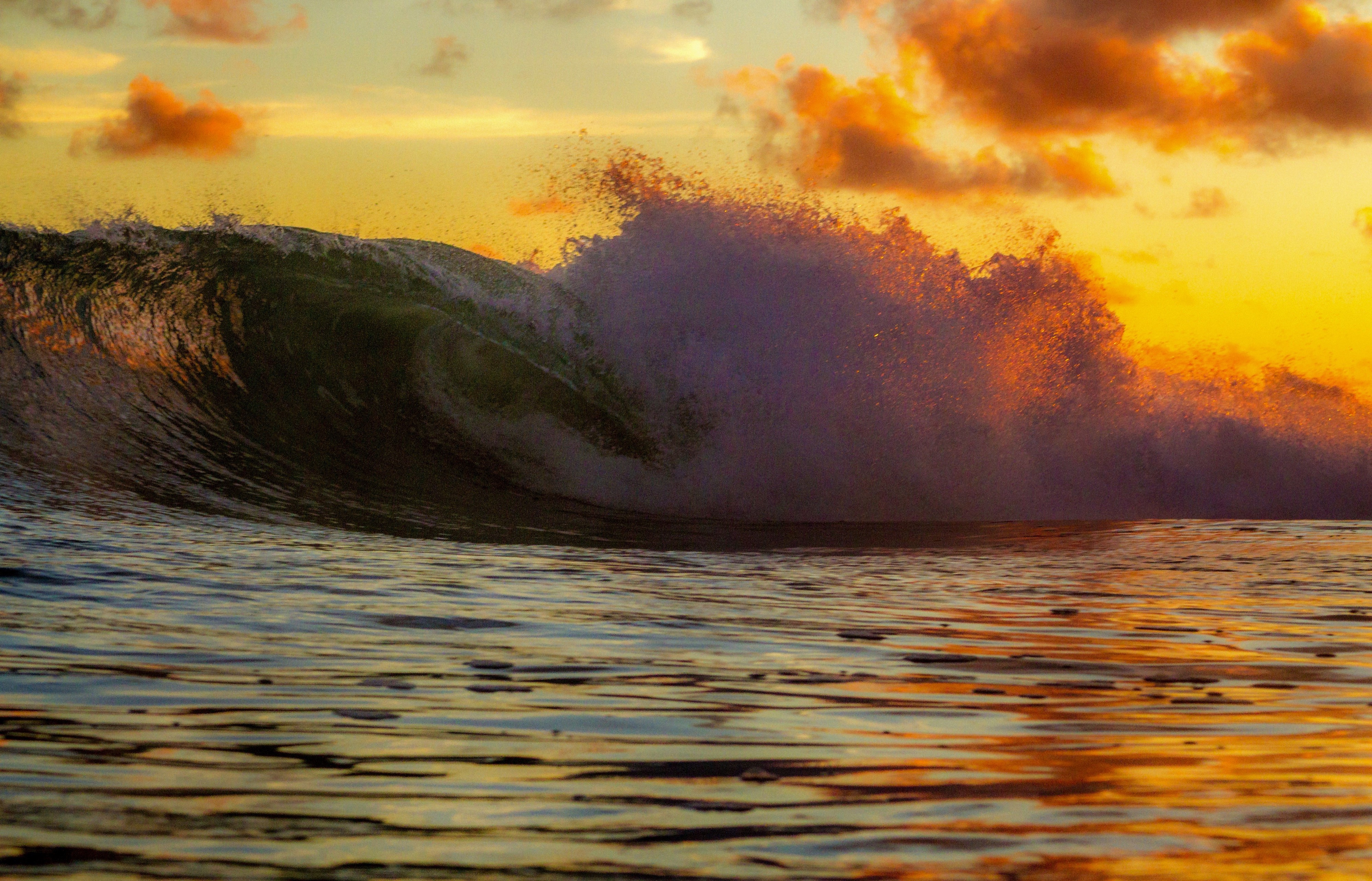 Punta San Carlos, Baja California, Mexico