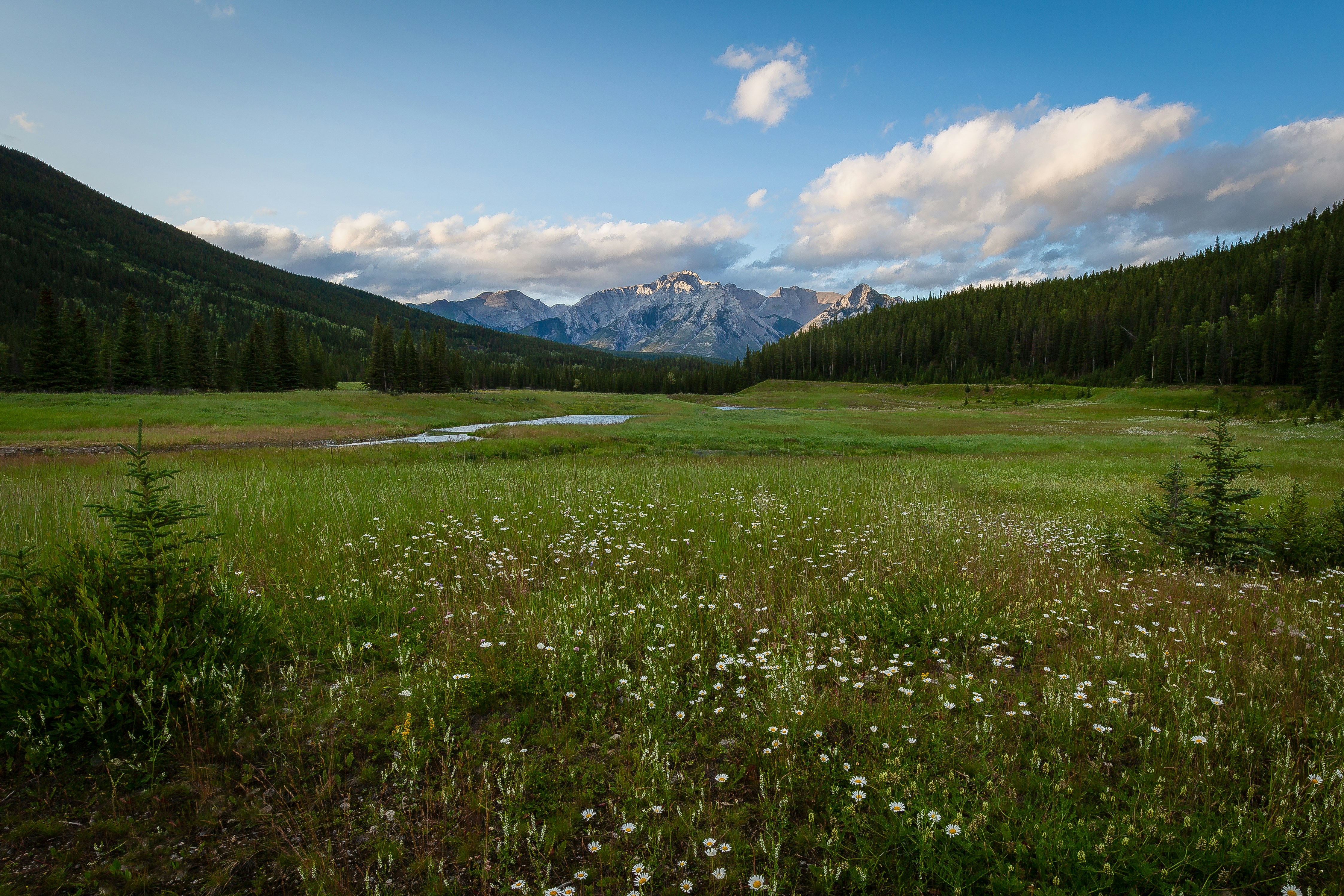 Valley in the Rocky Mountains near Banff.