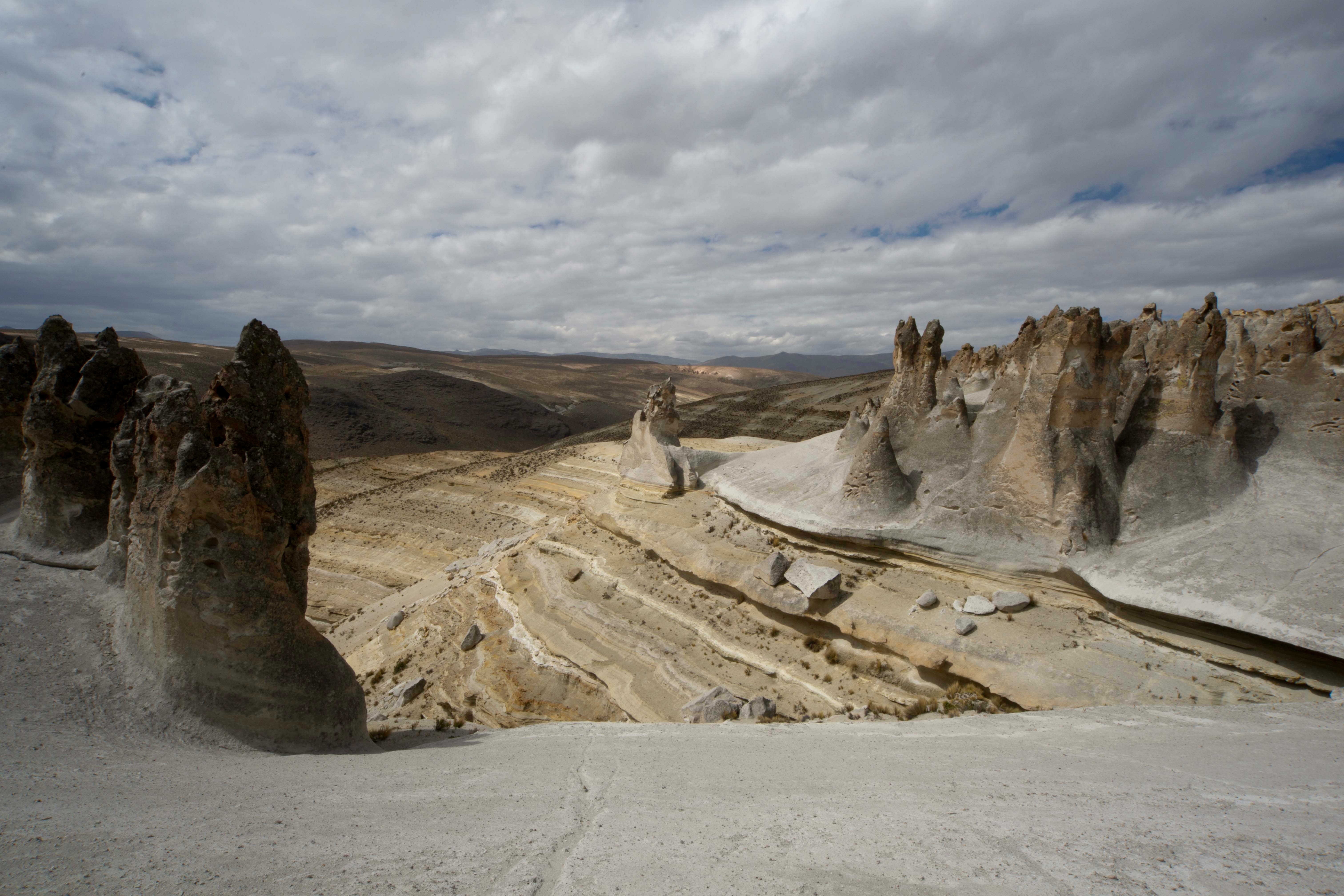 Forest stone Arequipa, Peru