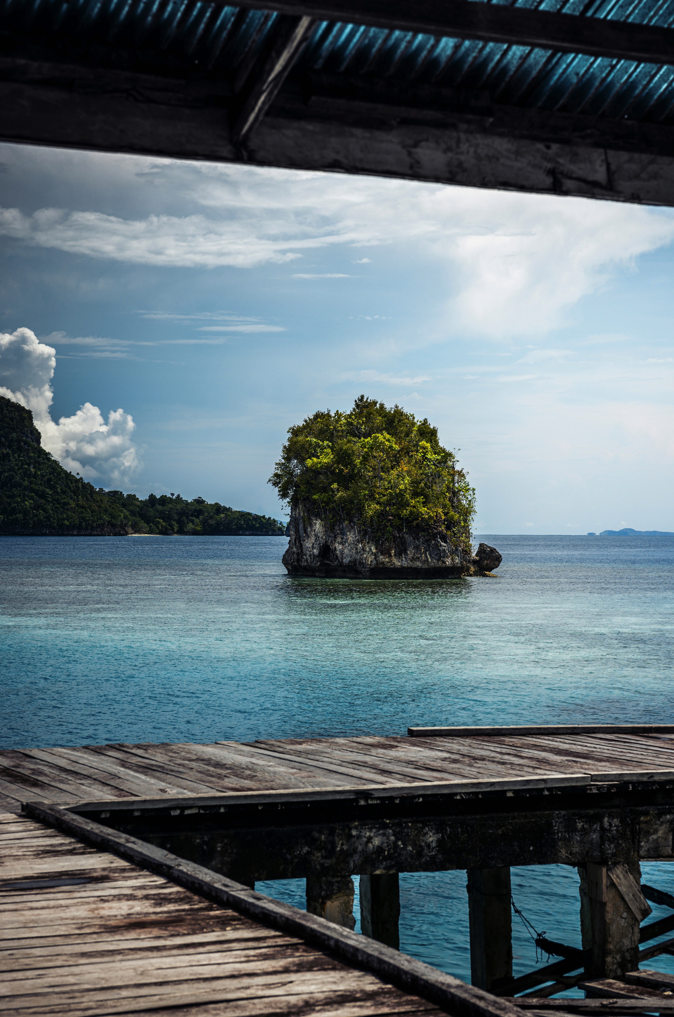 In The Wake of  Wallace: Indonesia & Borneo