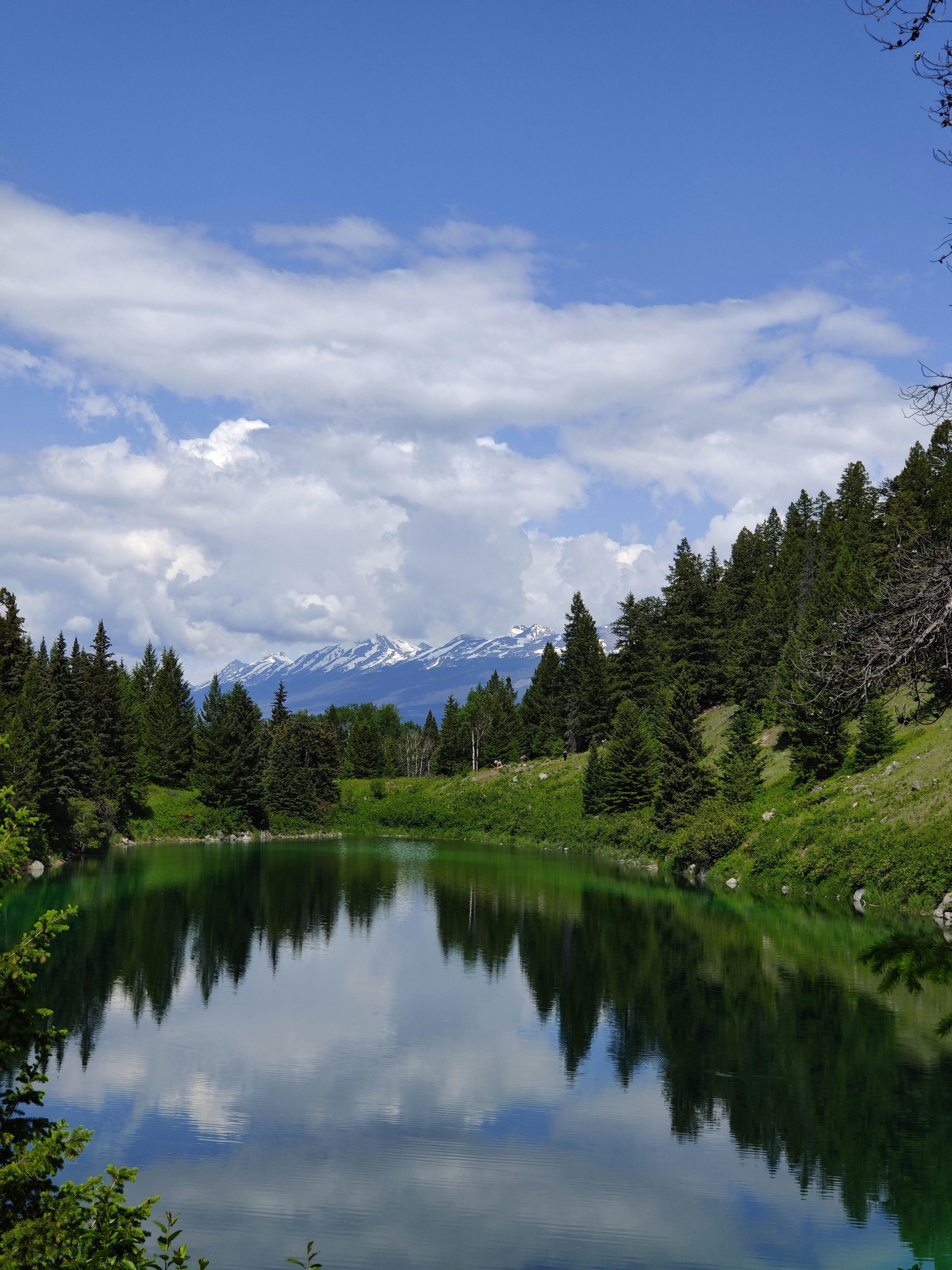 Valley of five lakes, Jasper National Park, Canada