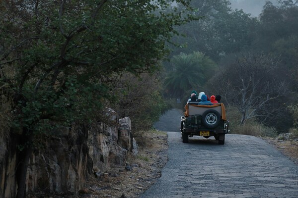 Ranthambore National Park, Rajasthan, India