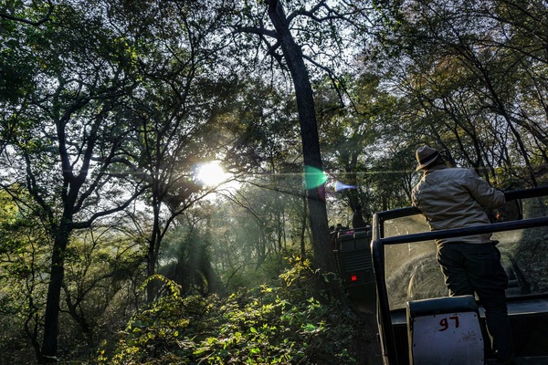 Ranthambore National Park, Ranthambore, India