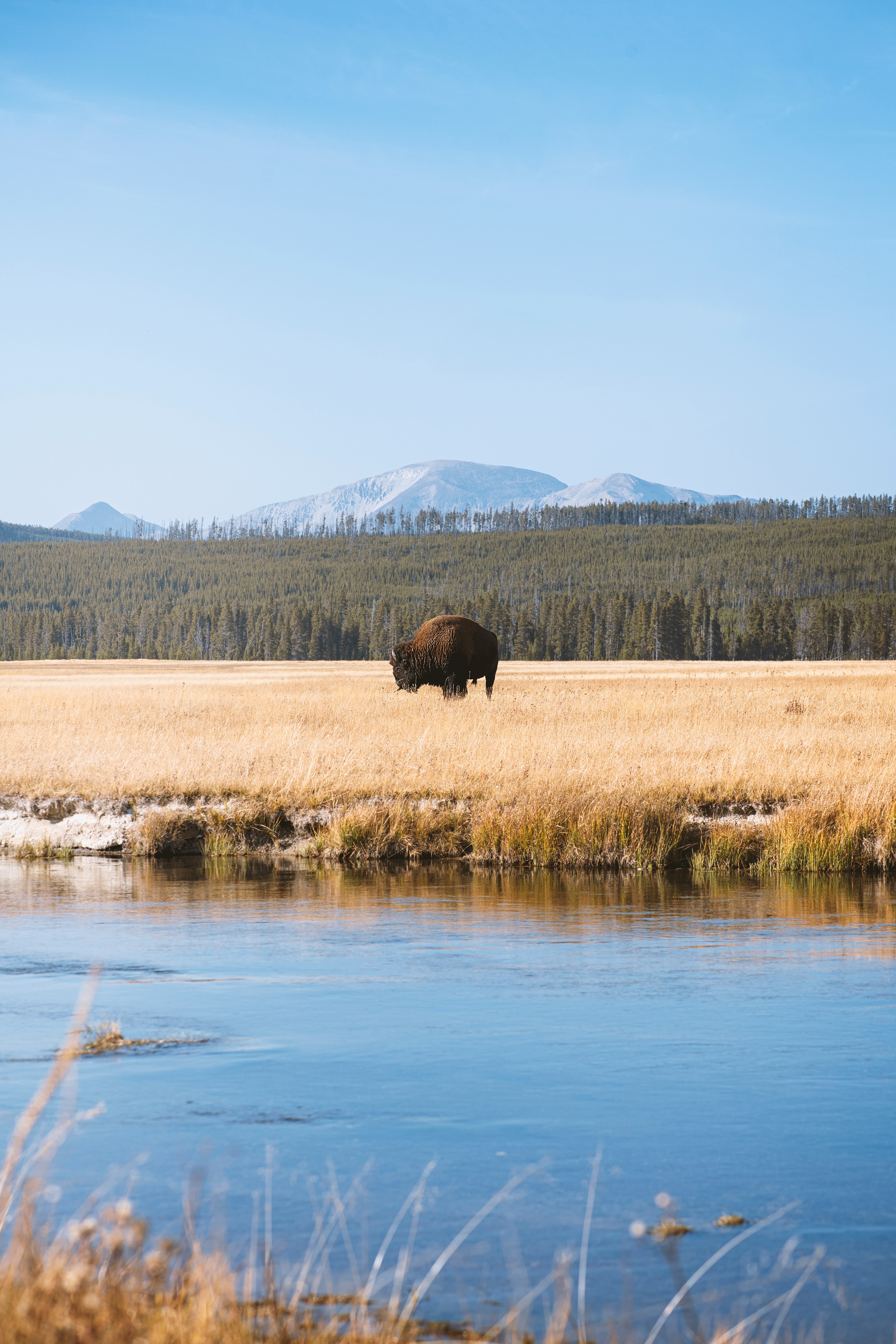 Yellowstone National Park, United States