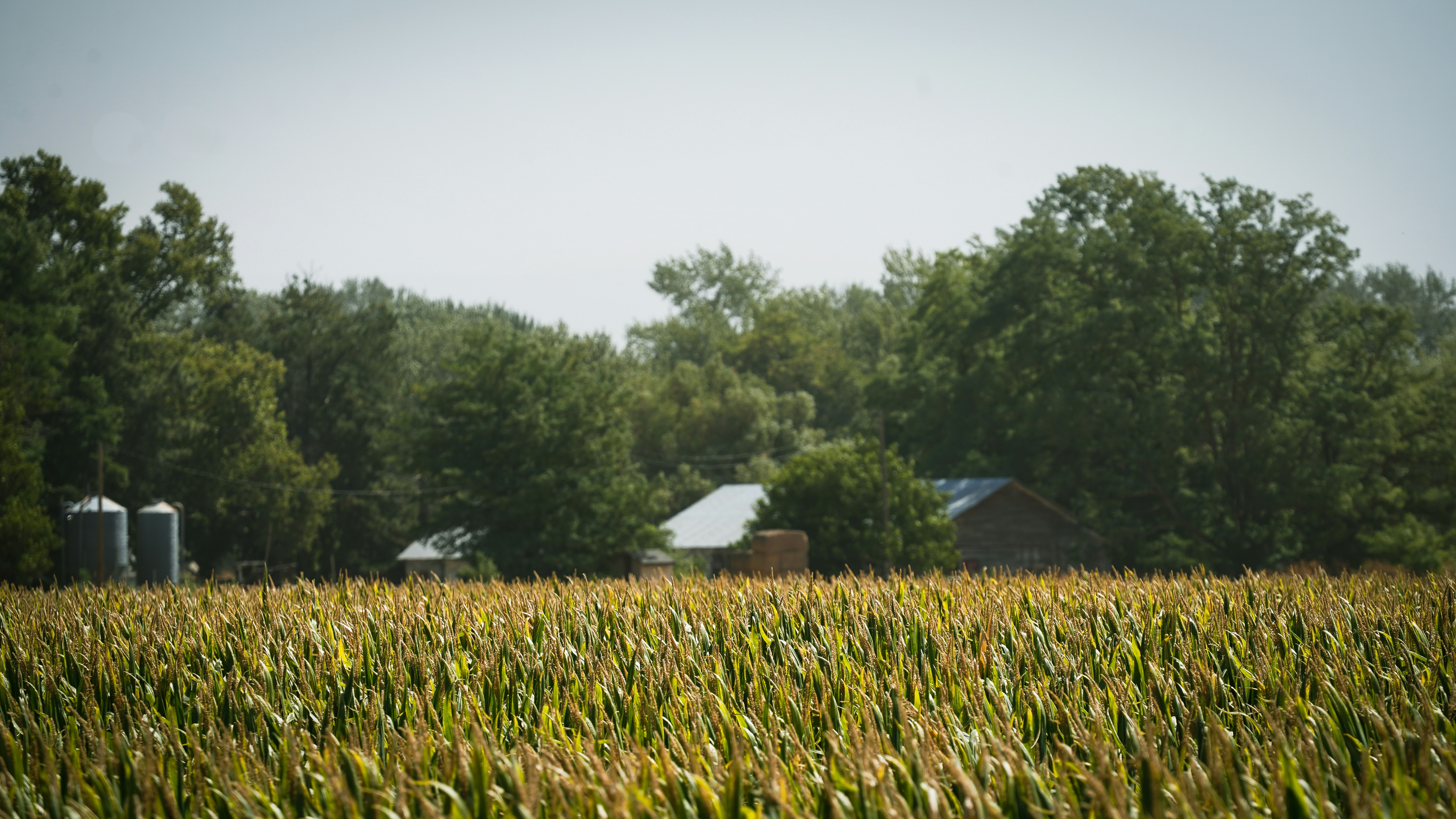Walla Walla, WA, USA