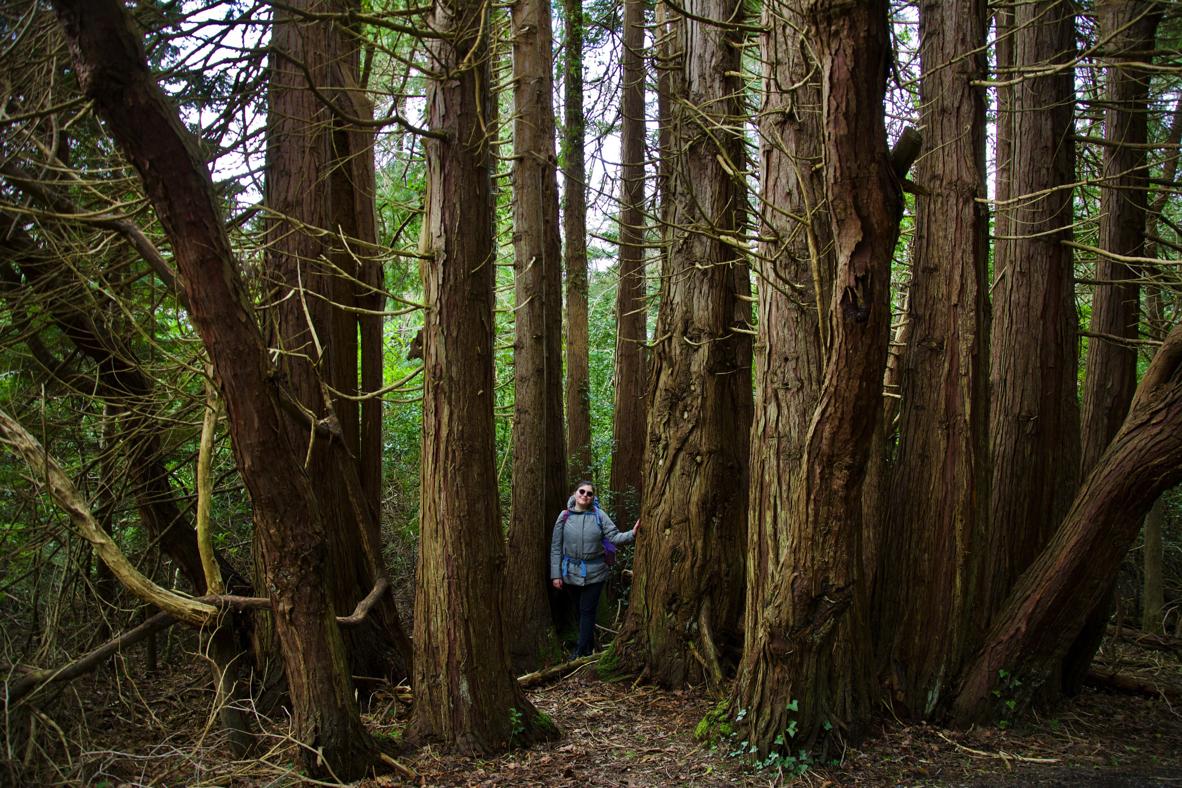 Killarney National Park Killarney National Park, Killarney, Ireland