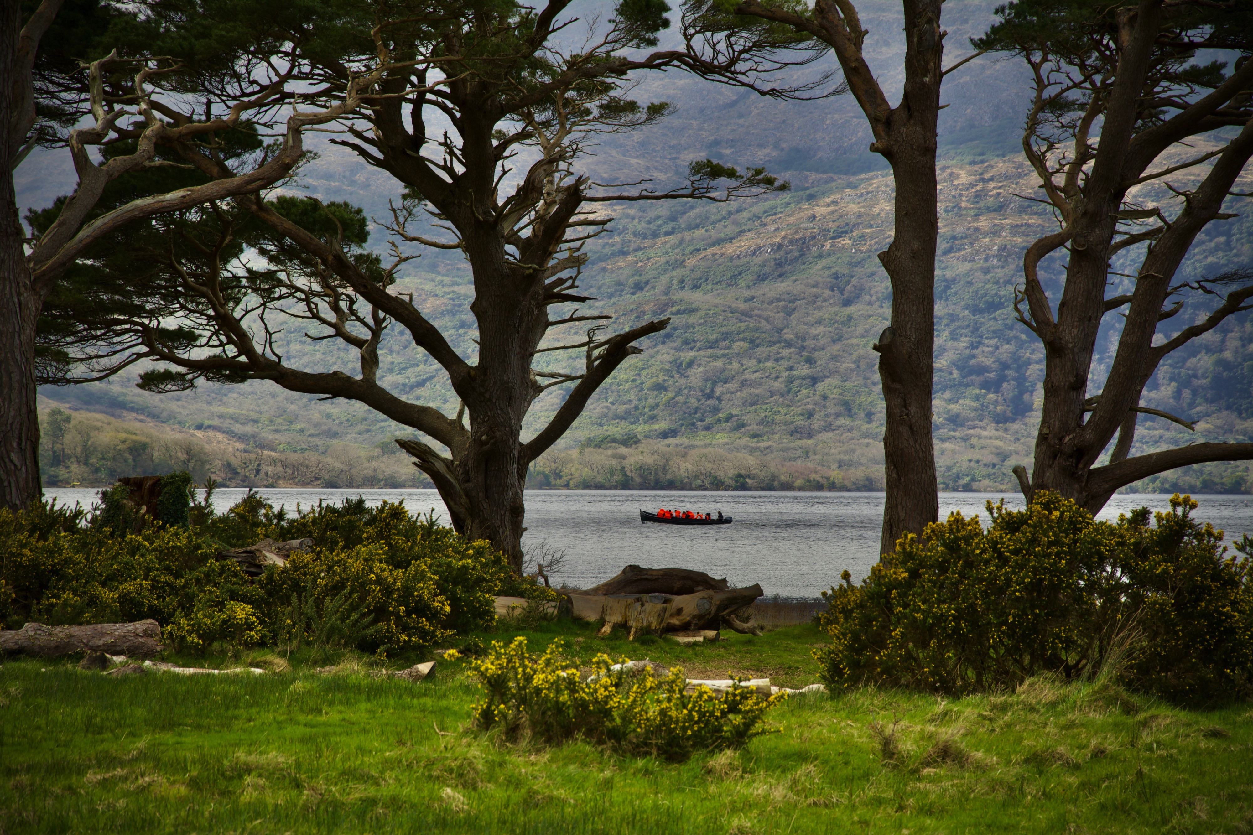 Killarney National Park, Killarney, Ireland