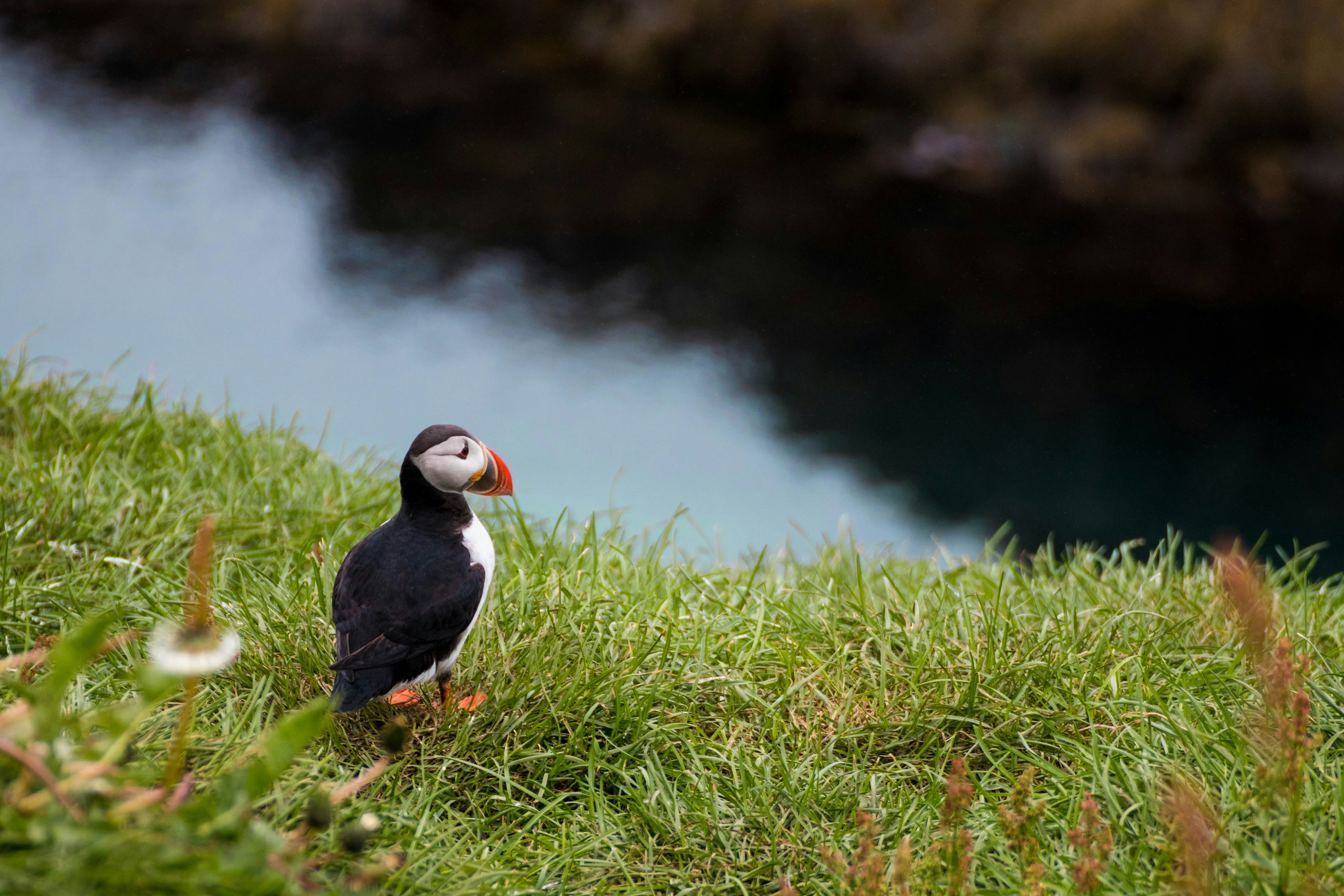 Borgarfjörður Eystri, Iceland