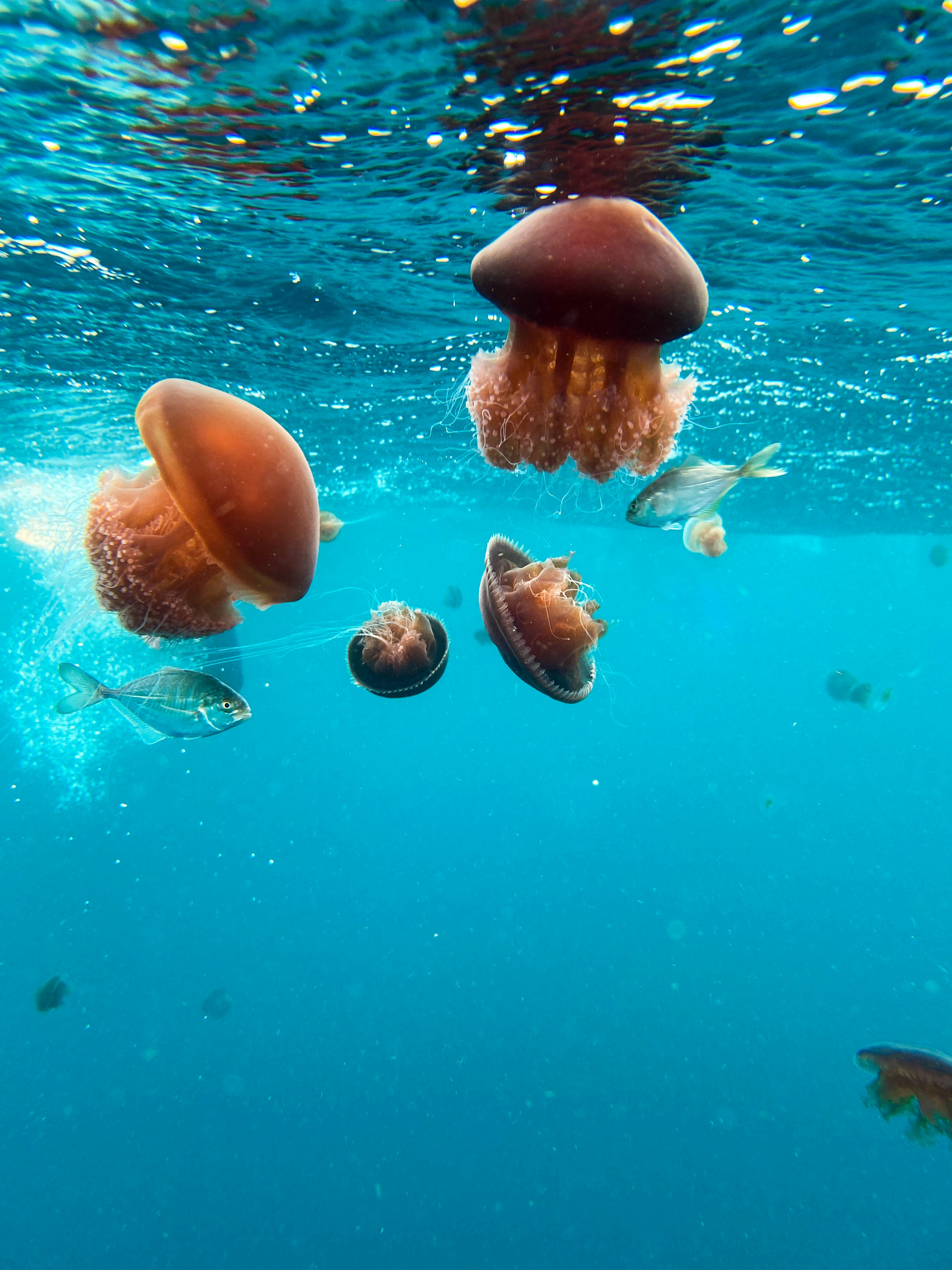 Australia’s West Coast Odyssey