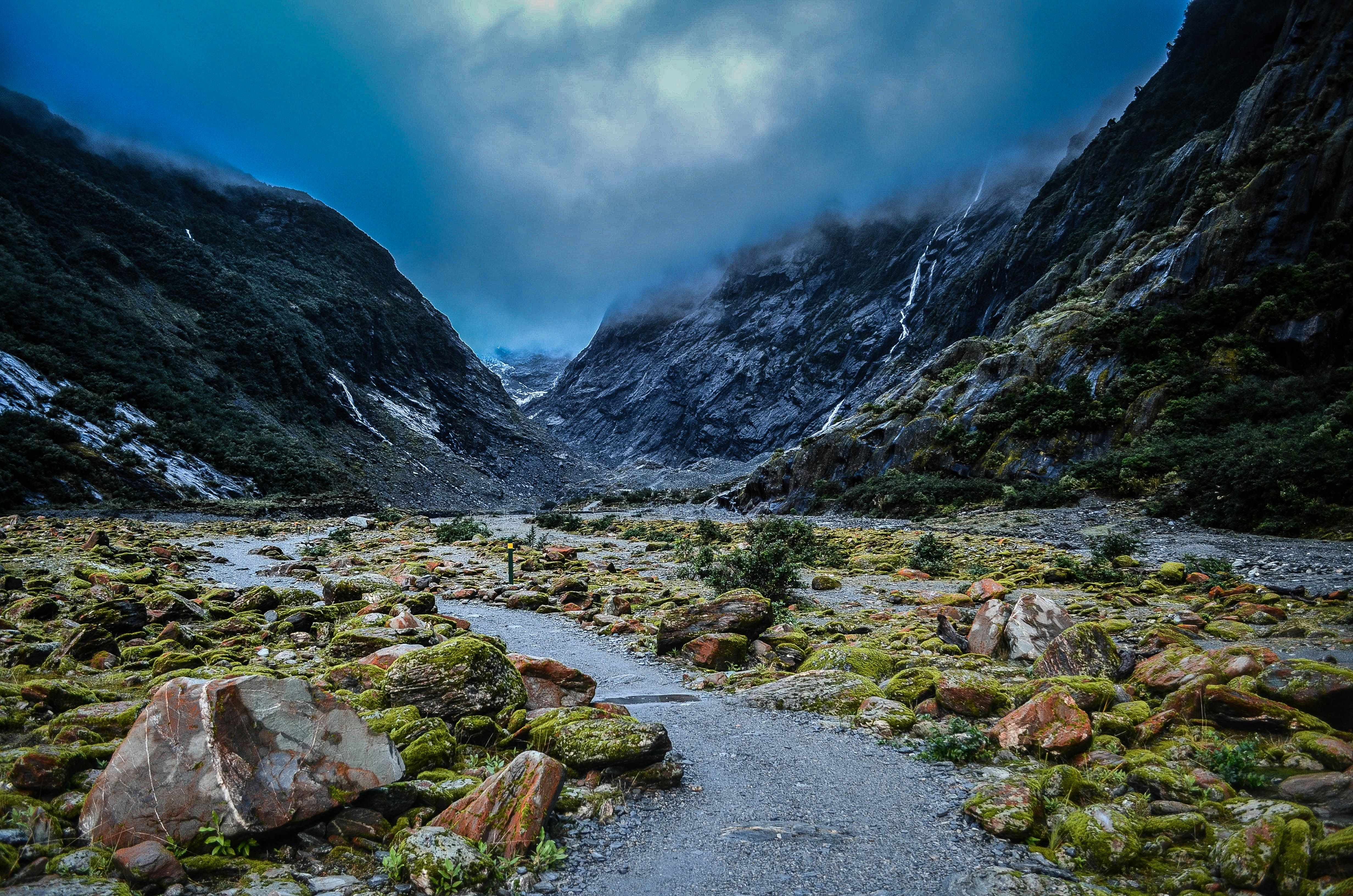 Mossy rocks near a glacier Franz Josef Glacier, New Zealand