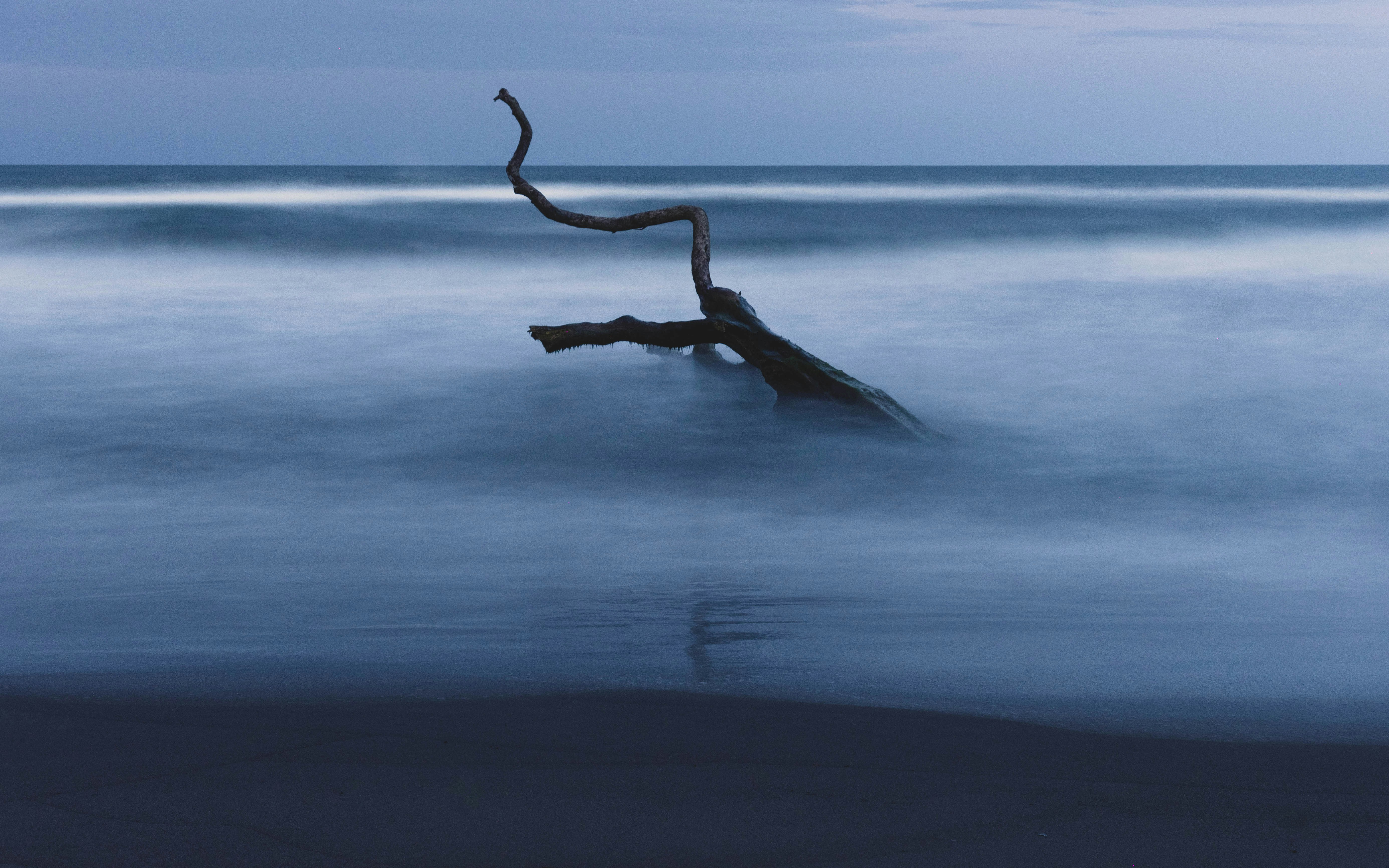 Tortuguero beach, Costa Rica