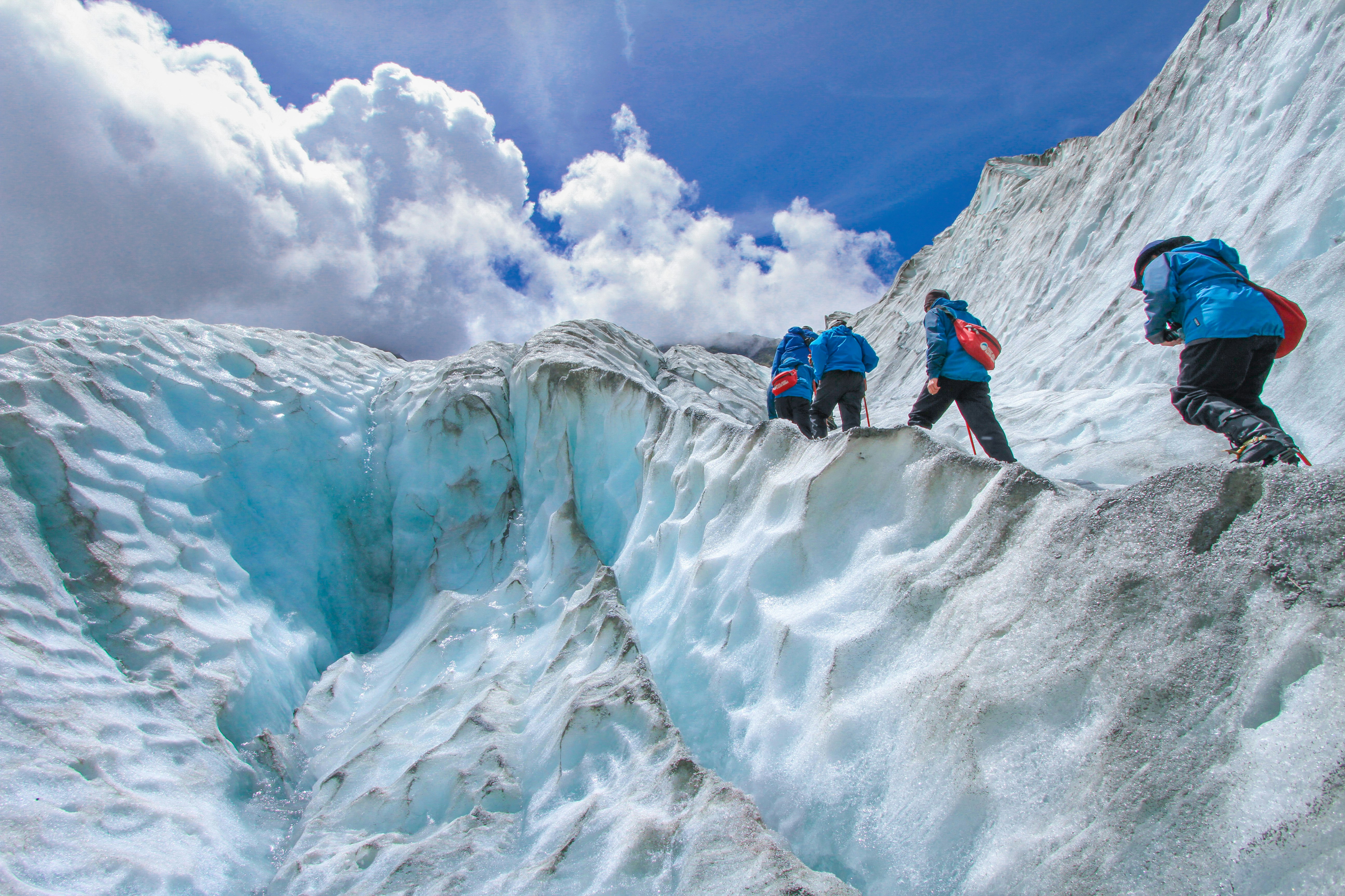 Franz Josef Glacier, New Zealand