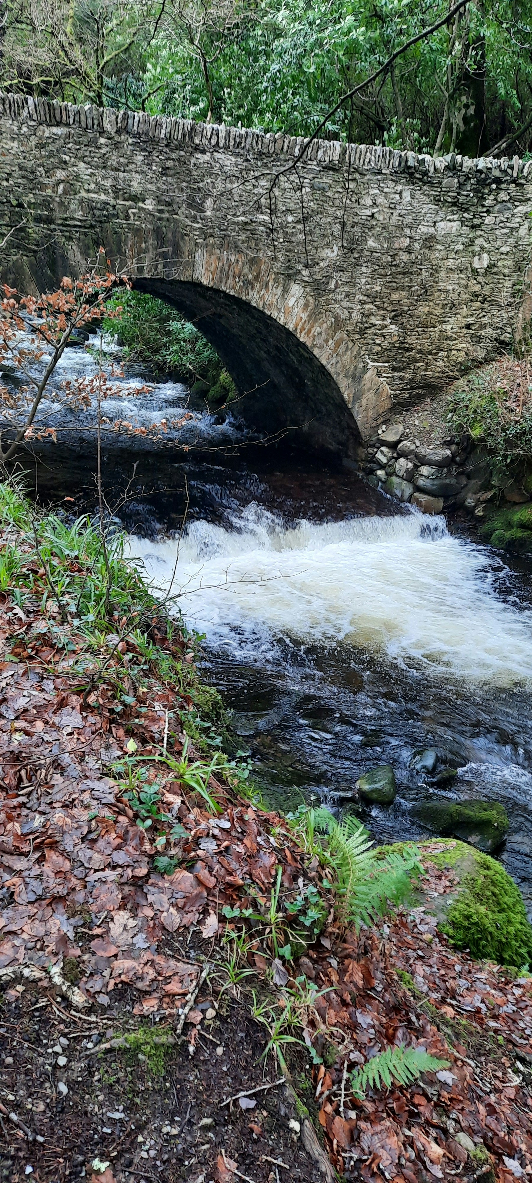 Torc Waterfall, Torc, Killarney, County Kerry, Ireland