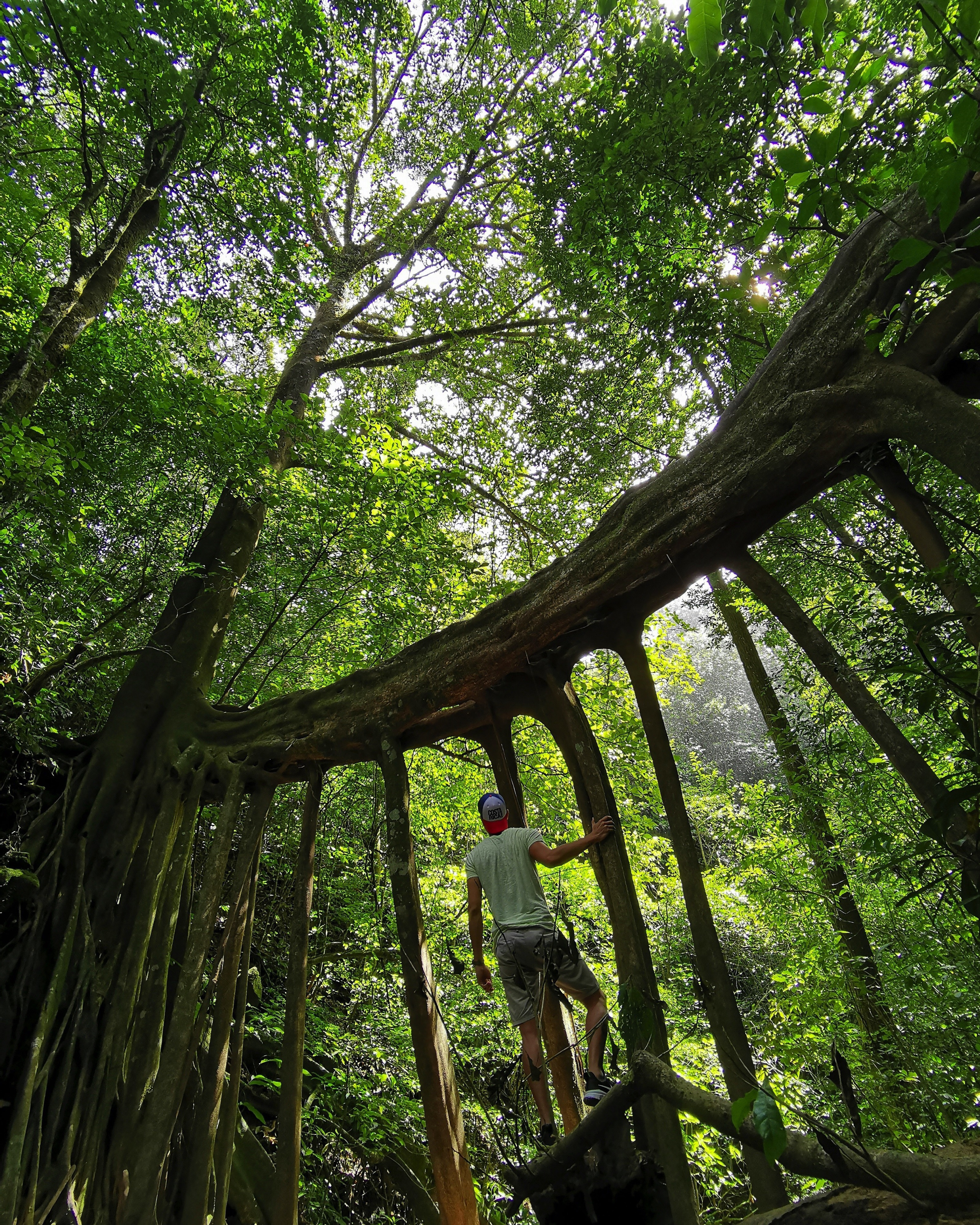 Puntarenas Province, Monteverde, Costa Rica