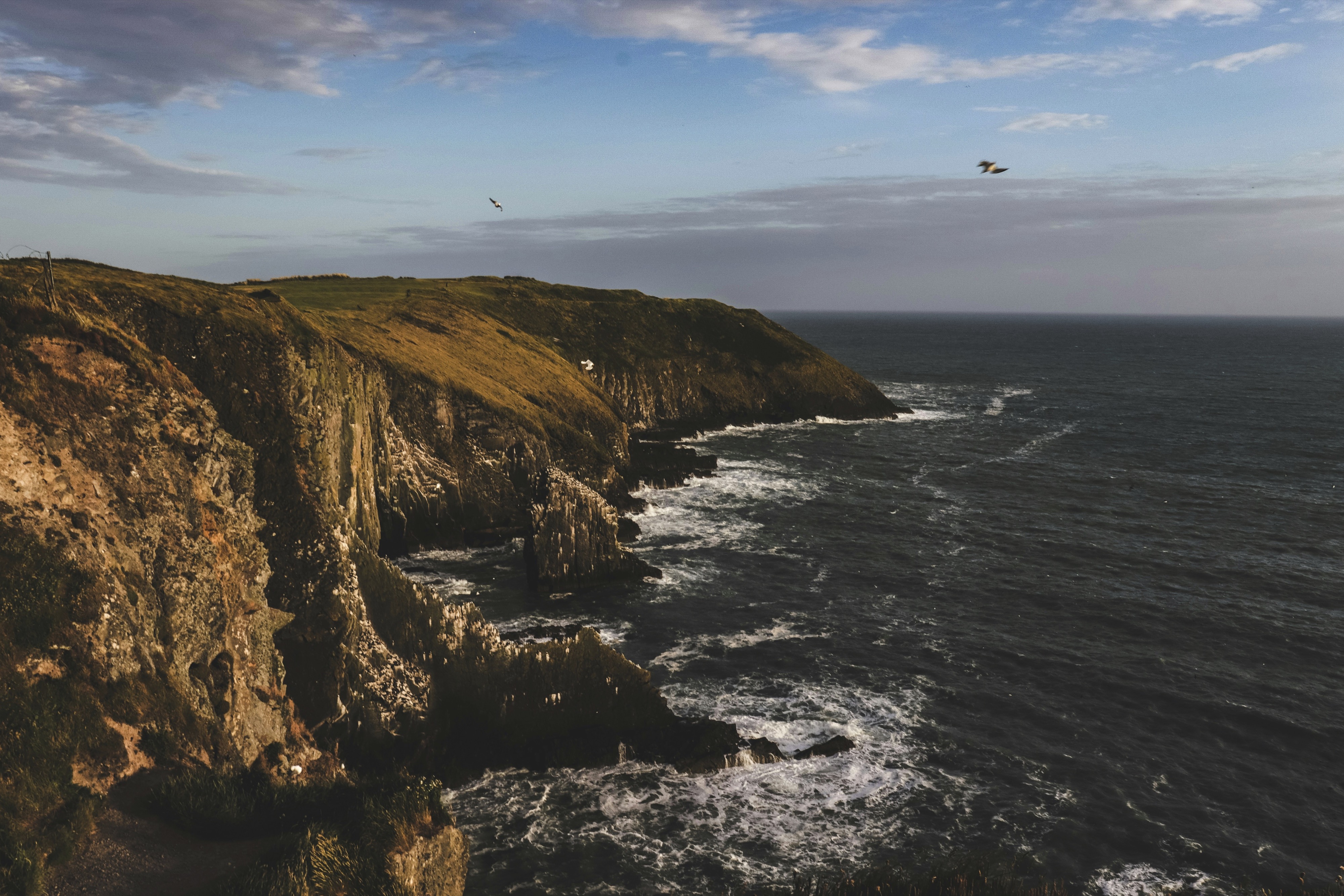 Old Head of Kinsale, Downmacpatrick, County Cork, Ireland