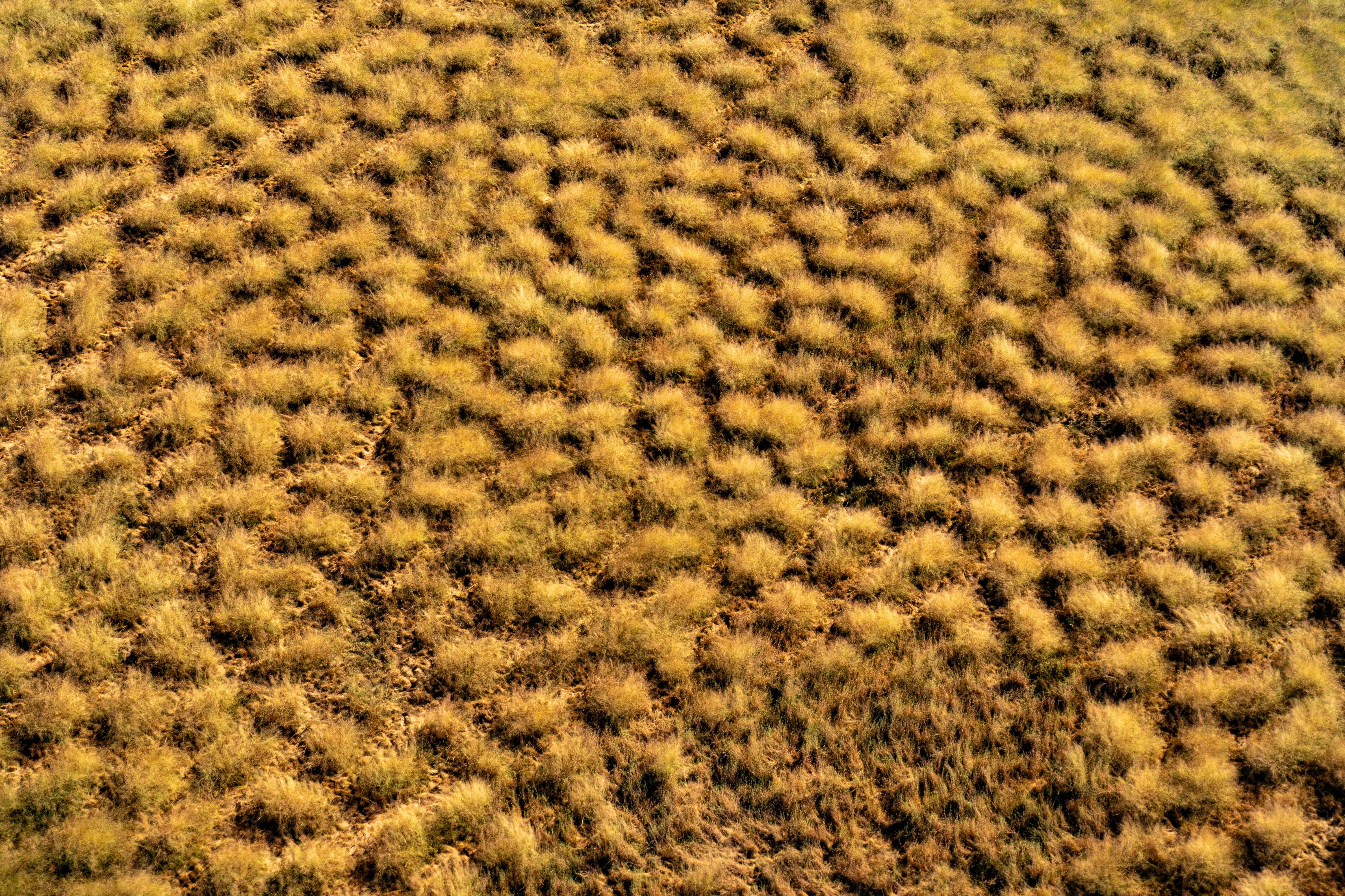 Aerial view over Kakadu National Park