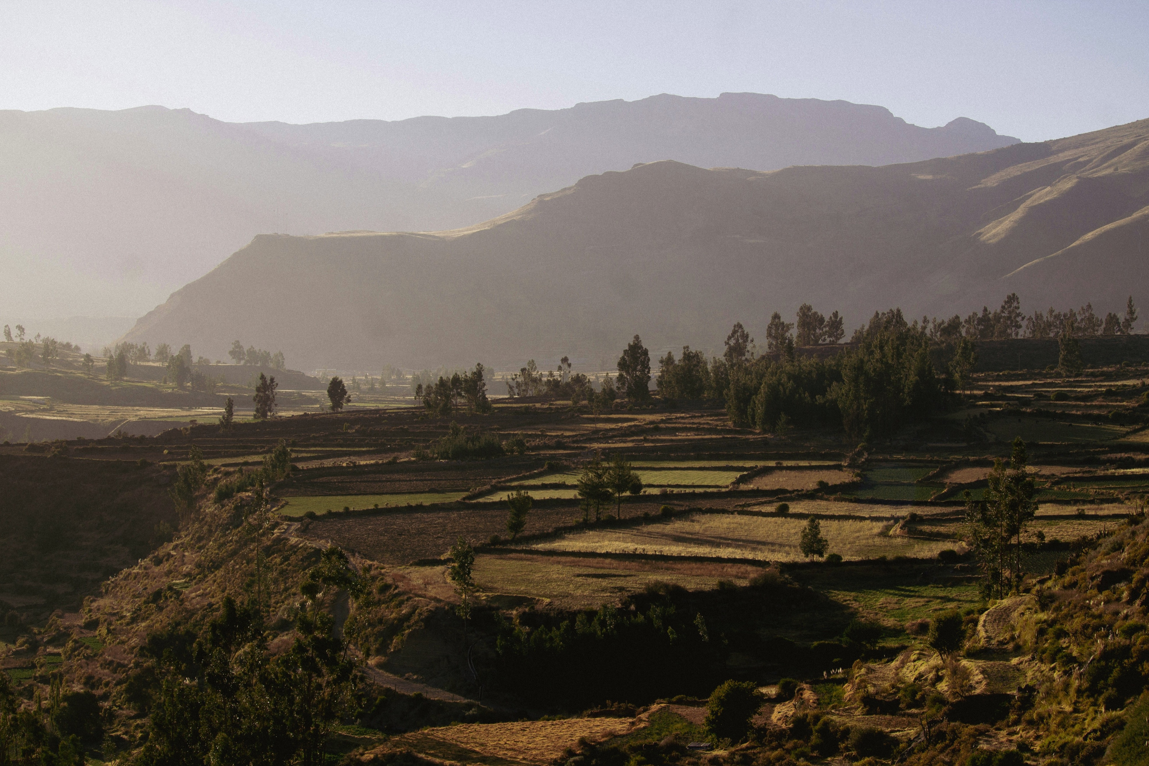 A beautiful morning in the Colca Canyon, Peru.