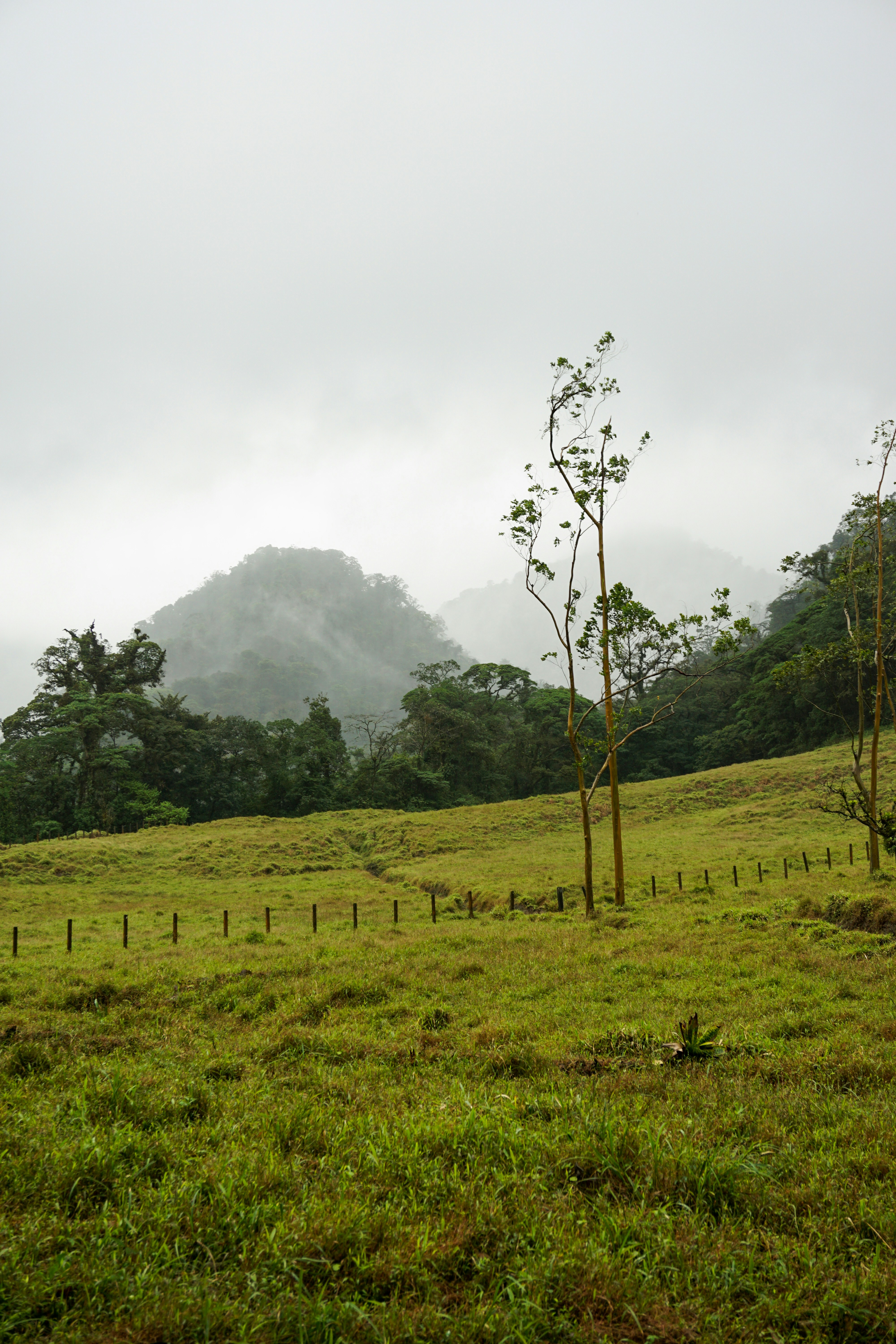Provinz Alajuela, La Fortuna, Costa Rica