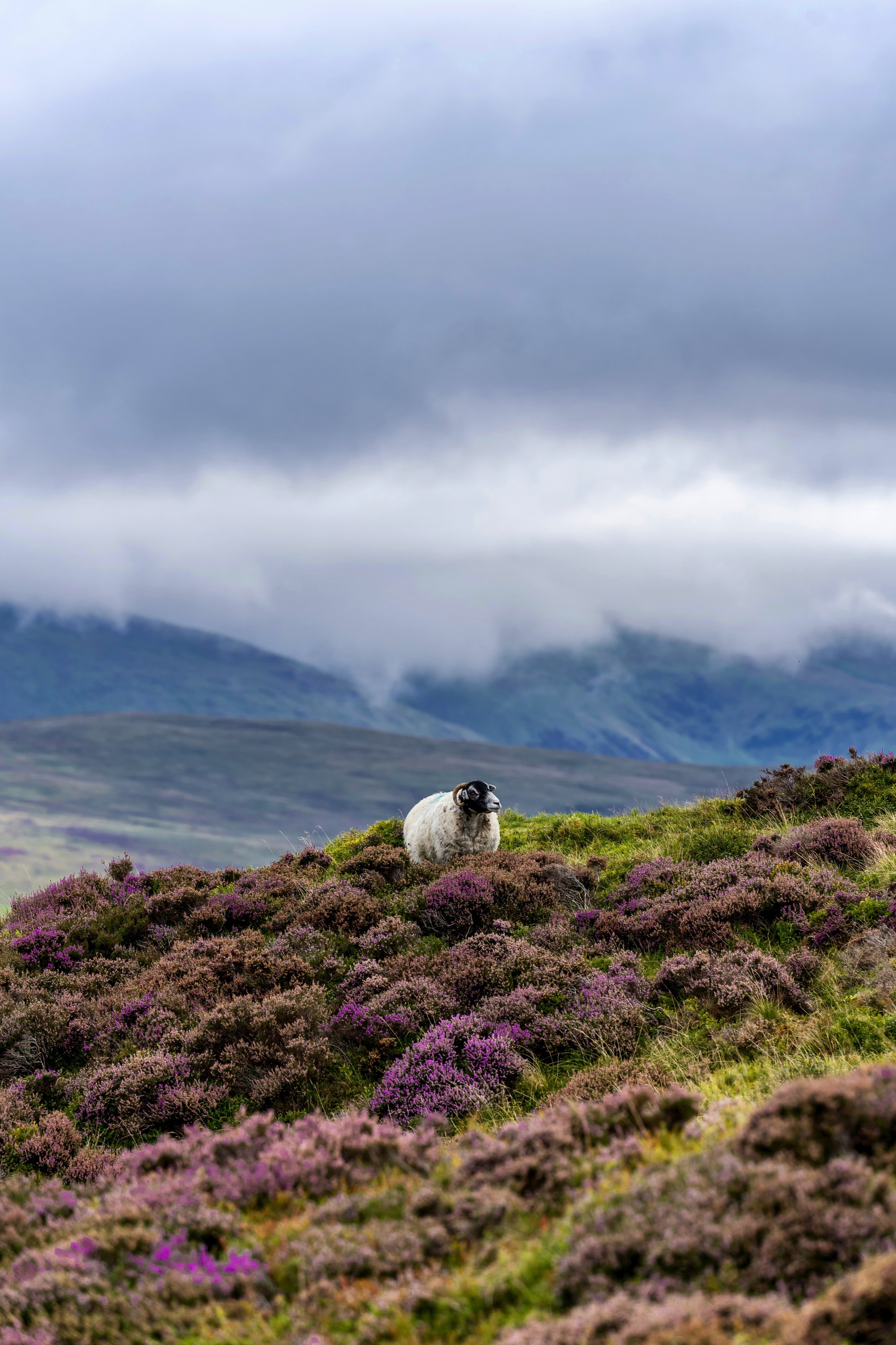 Lake District National Park, United Kingdom