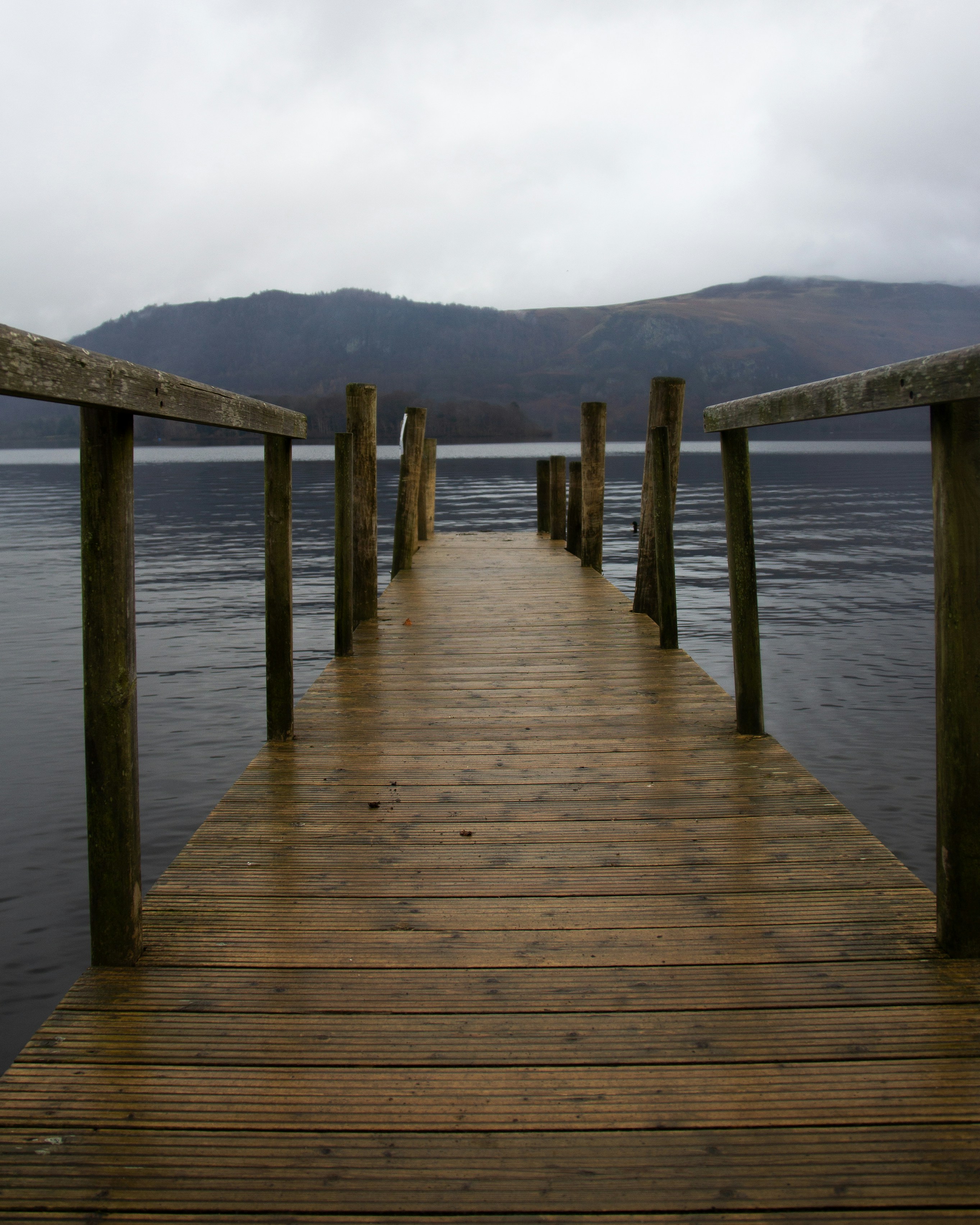Boardwalk in the Lake District, UK