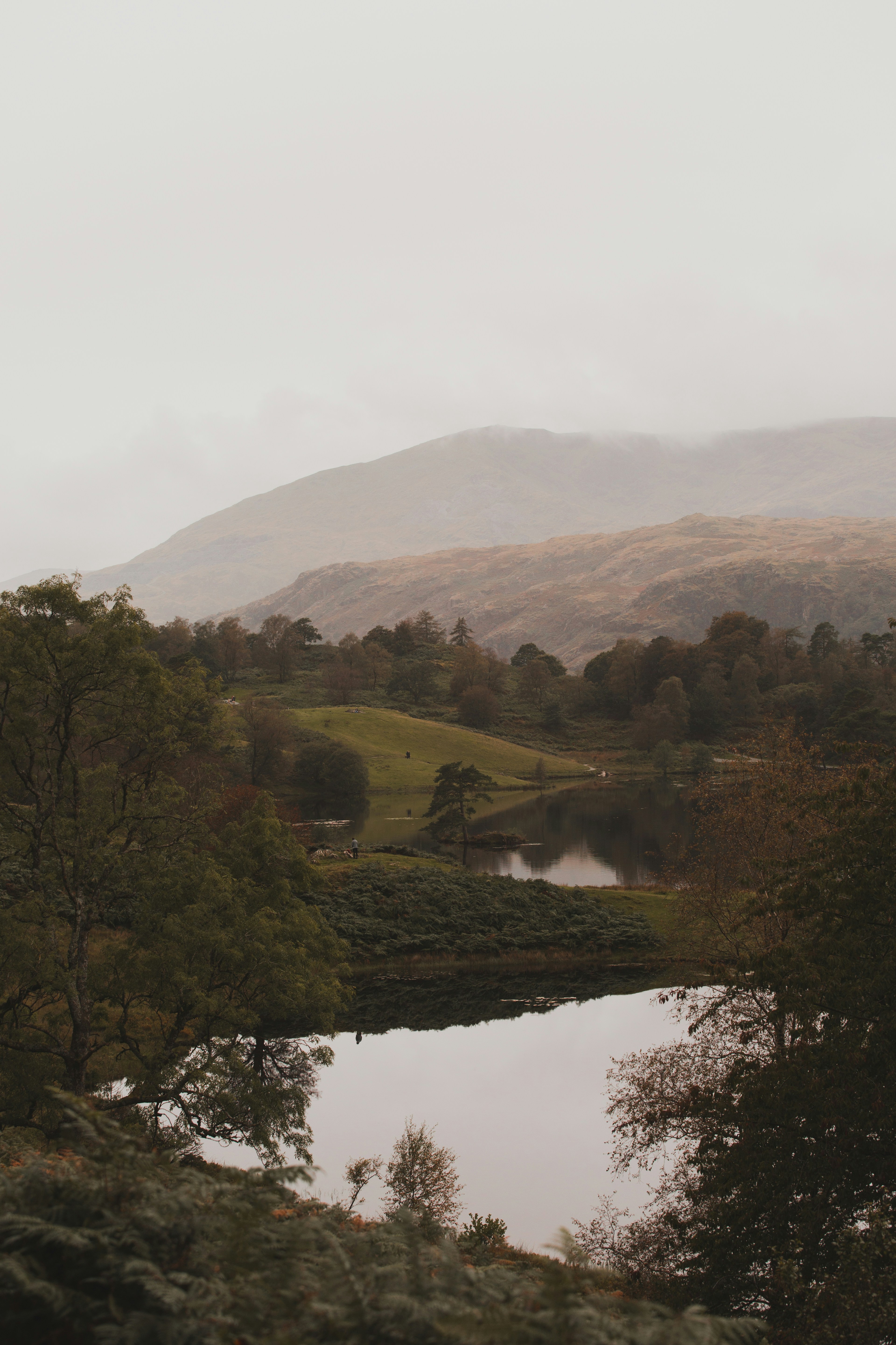Tarn Hows - Lake District - England