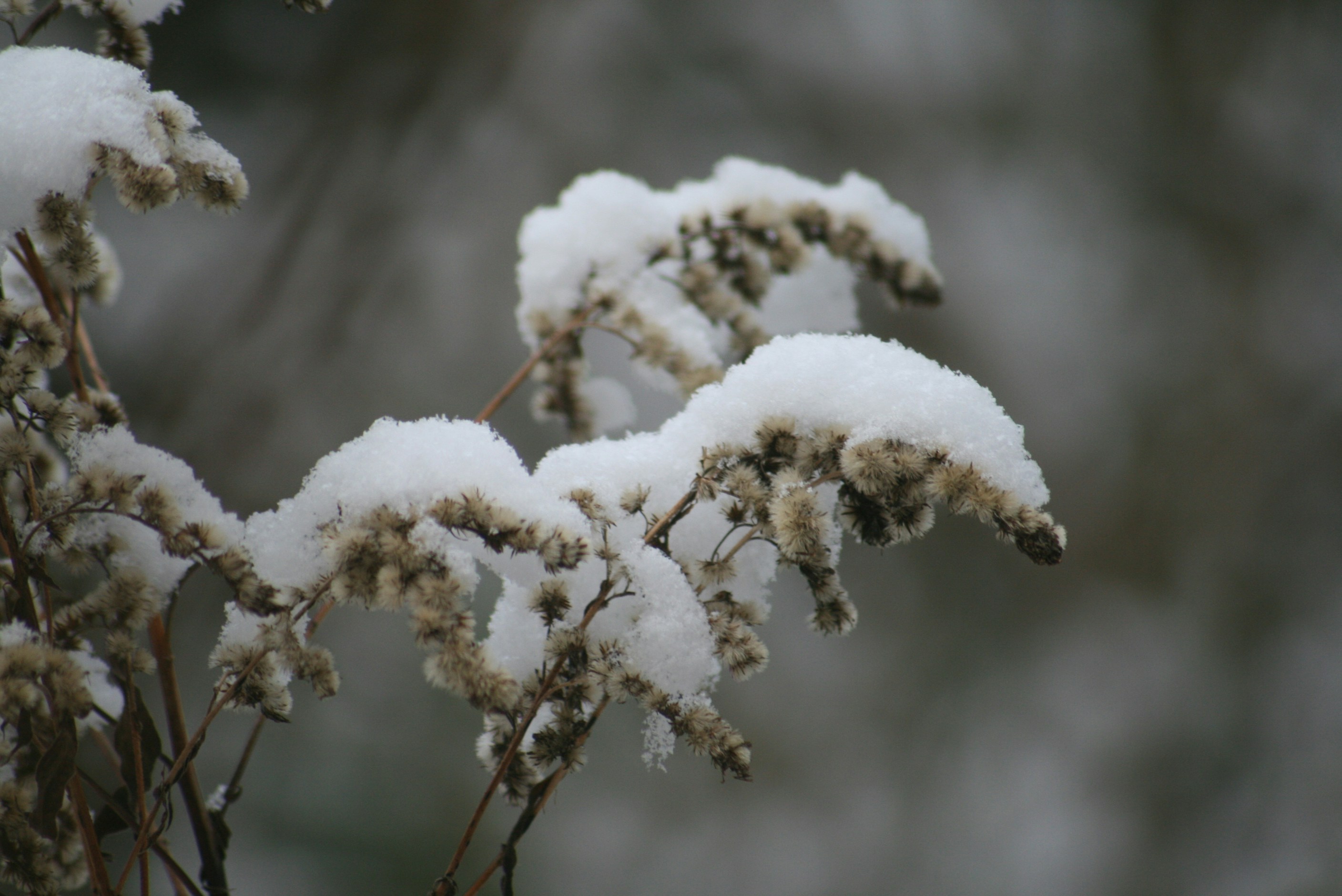 Oldenburg, Deutschland