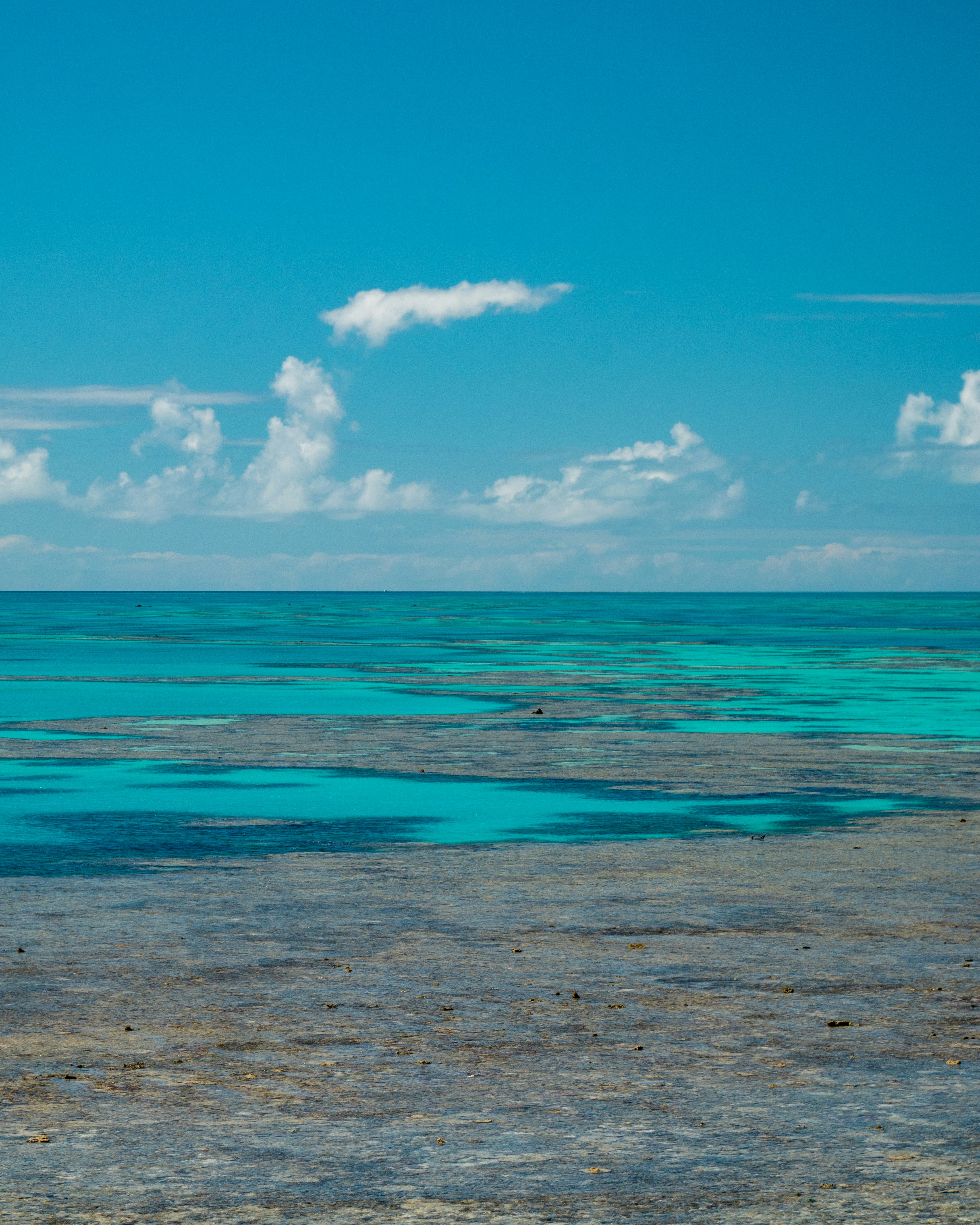 Low tide at The Great Barrier Reef, The Great Barrier Reef, Australien