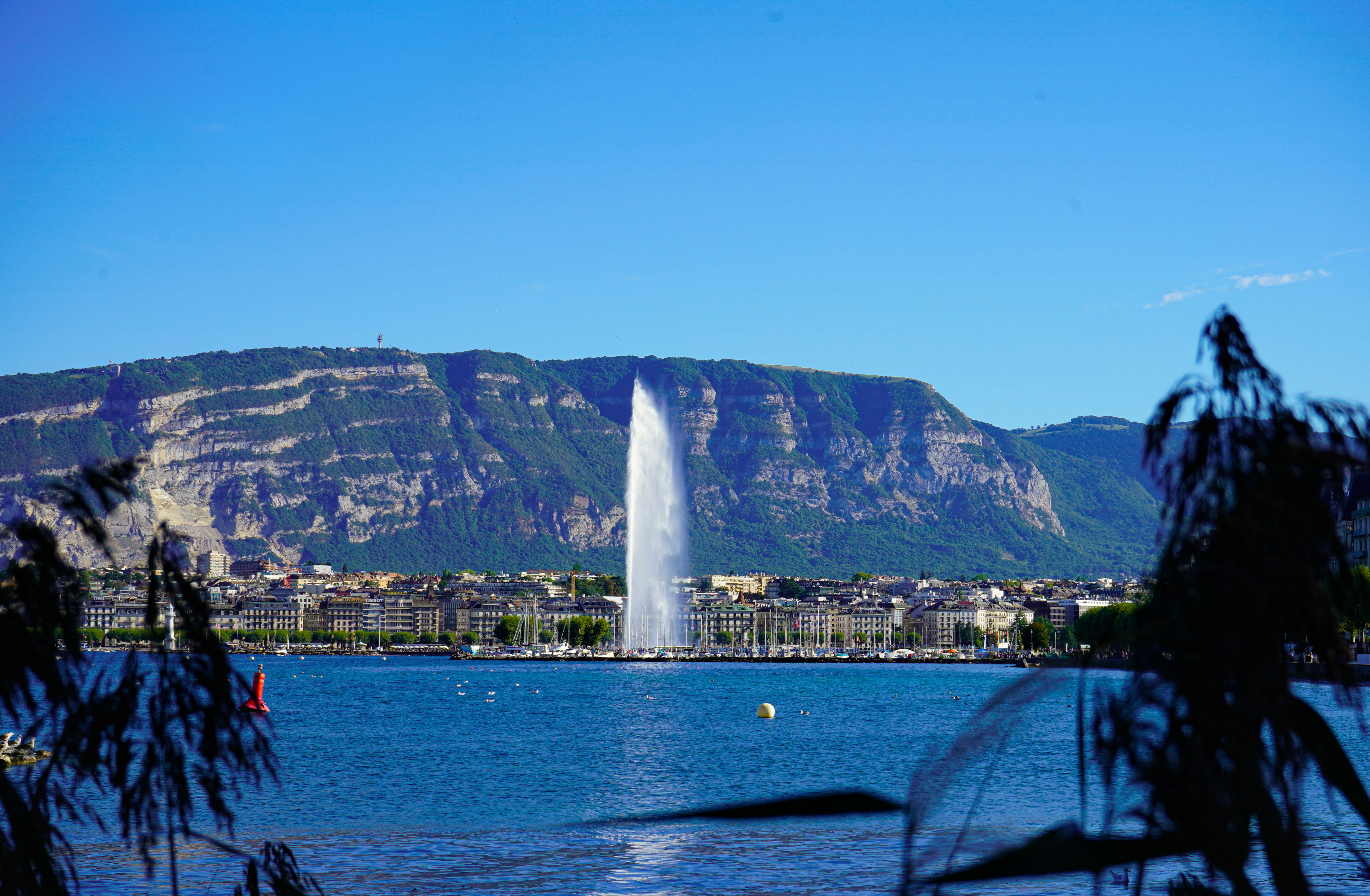 Geneva