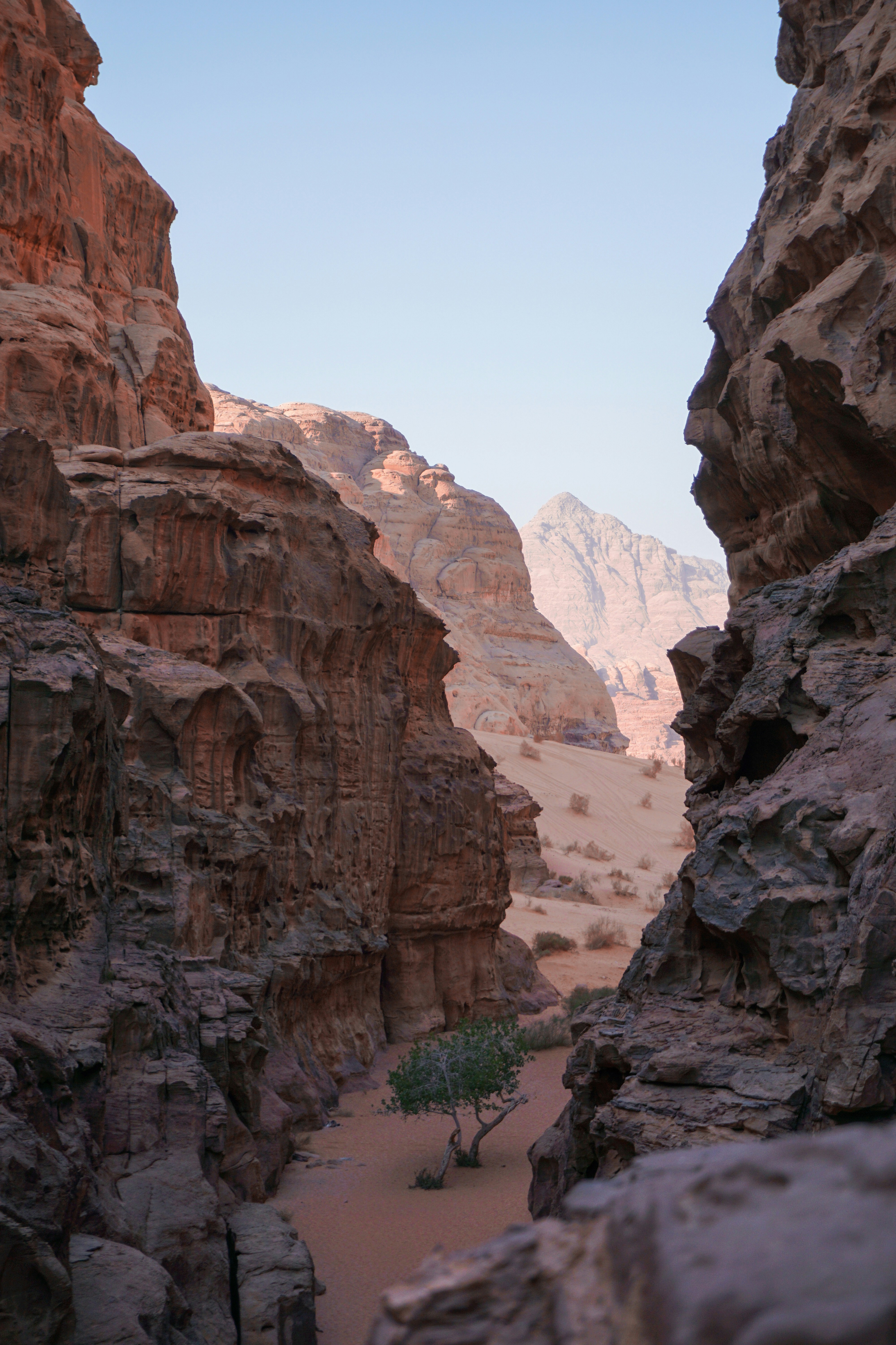 Wadi Rum Village, Jordan