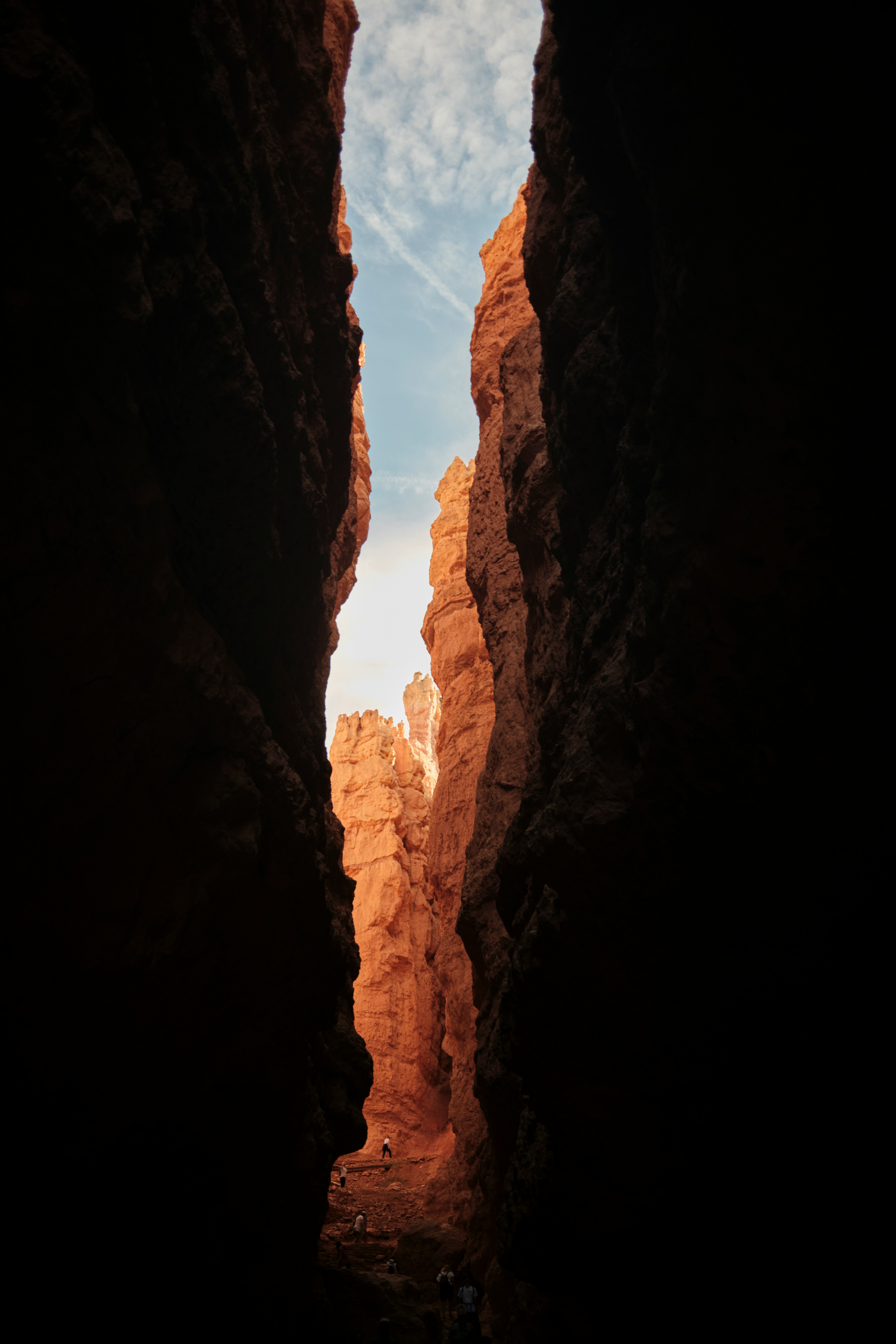 The best view of Bryce Canyon is from the bottom, Bryce Canyon, Utah, USA
