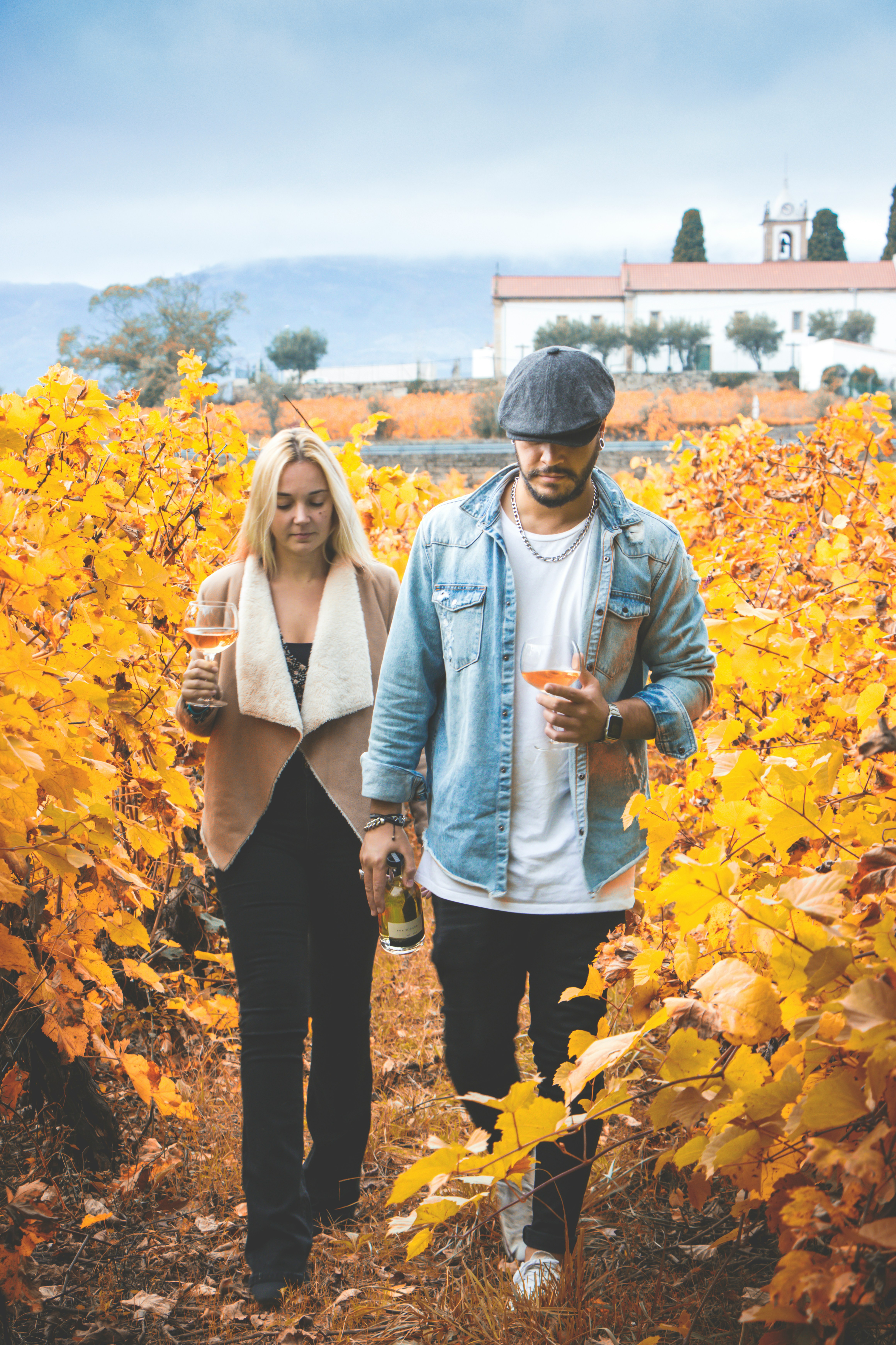 Palácio de Mateus, Casa de Mateus, Vila Real, Portuga