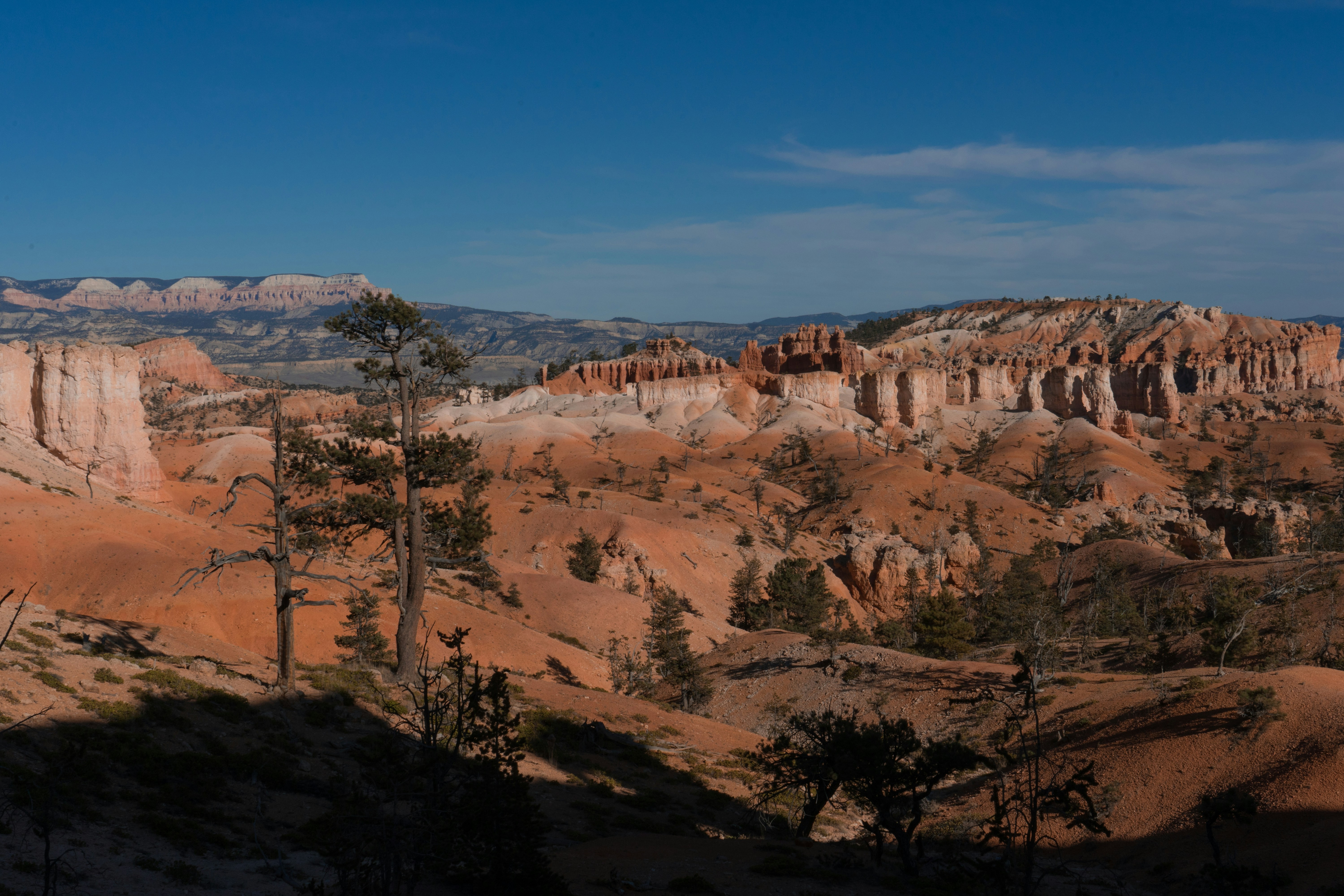 Bryce Canyon National Park, Utah, USA
