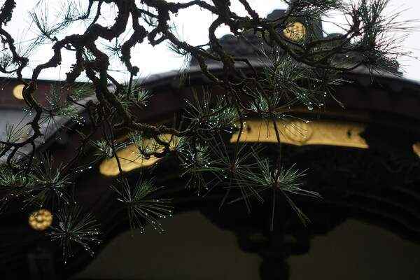 Japan, Miyagi, Sendai, Aoba Ward, Otamayashita