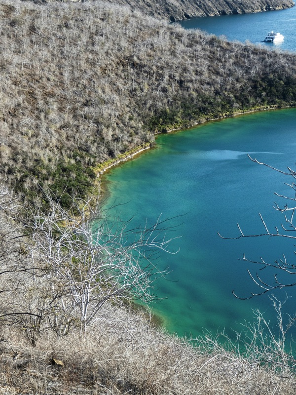 Tagus Cove, Galápagos, Ecuador