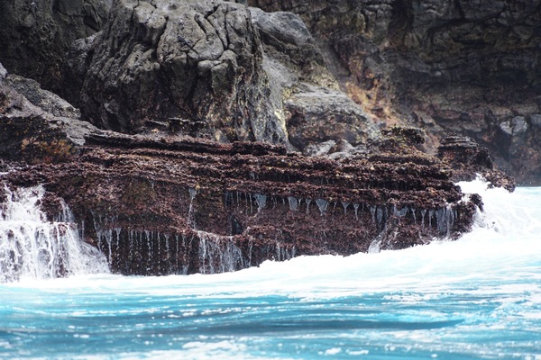 Galápagos Islands, Ecuador