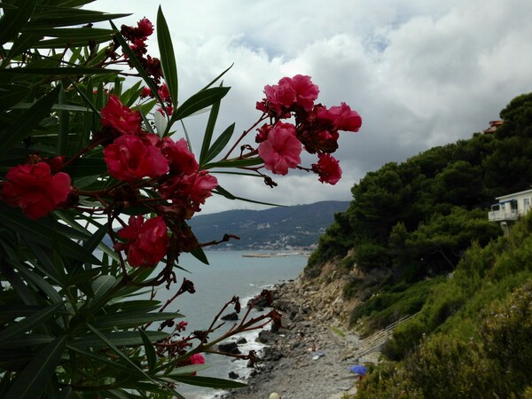 Promontory of Capo Mele. Savona. Italy