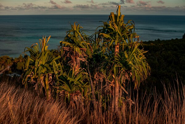 Oarsman's Bay Lodge, Yasawa, Fiji