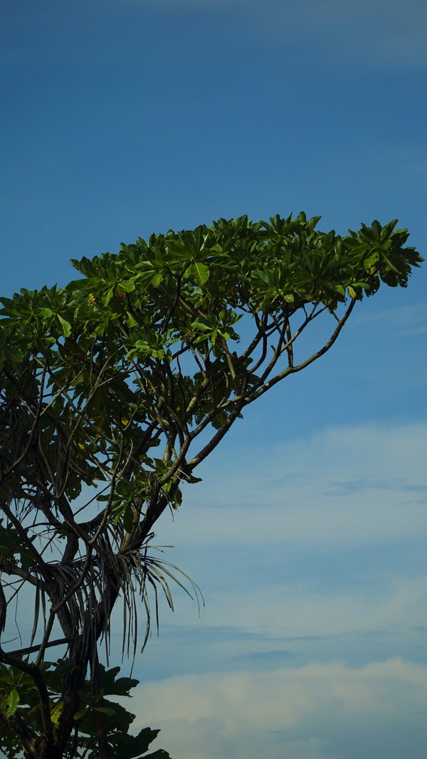 Ambon, Maluku, Indonesia