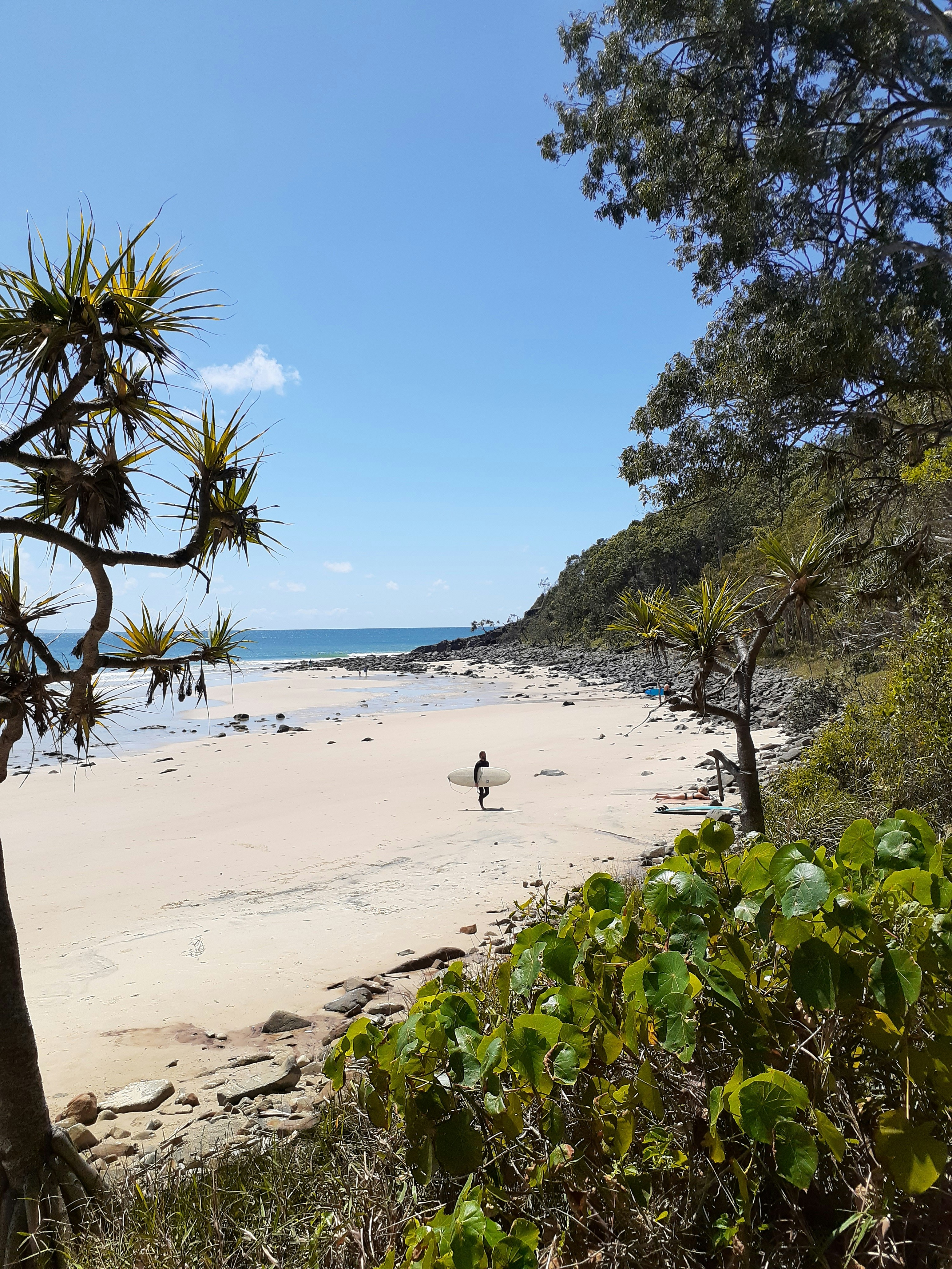 Little Cove, Park Road, Noosa Heads QLD, Australia