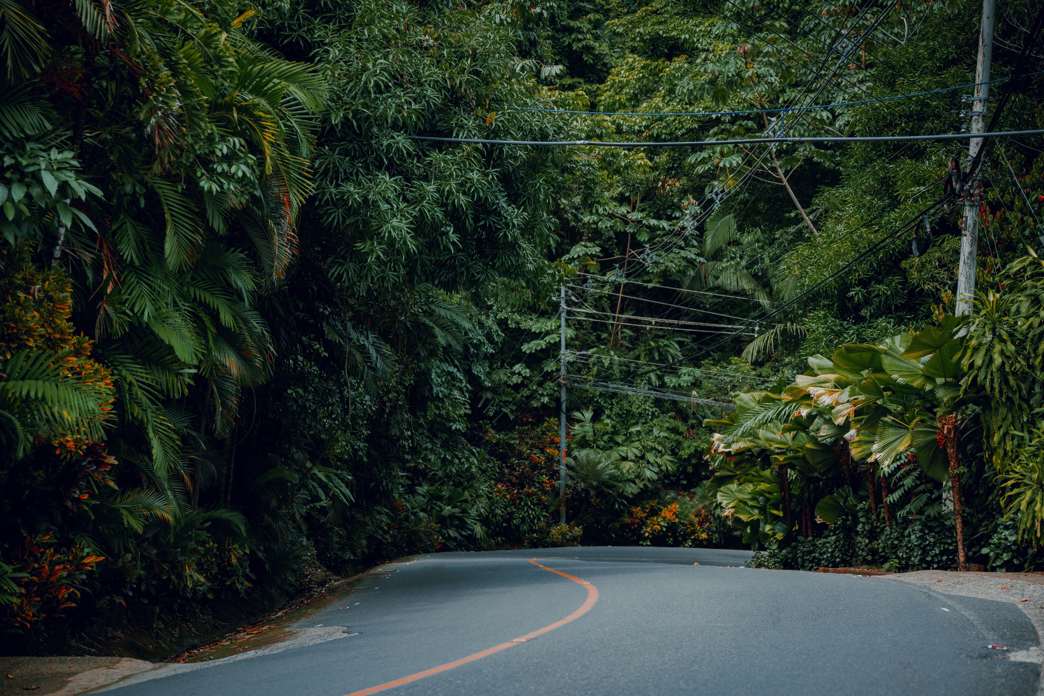 Manuel Antonio National Park, Puntarenas Province, Quepos, Costa Rica