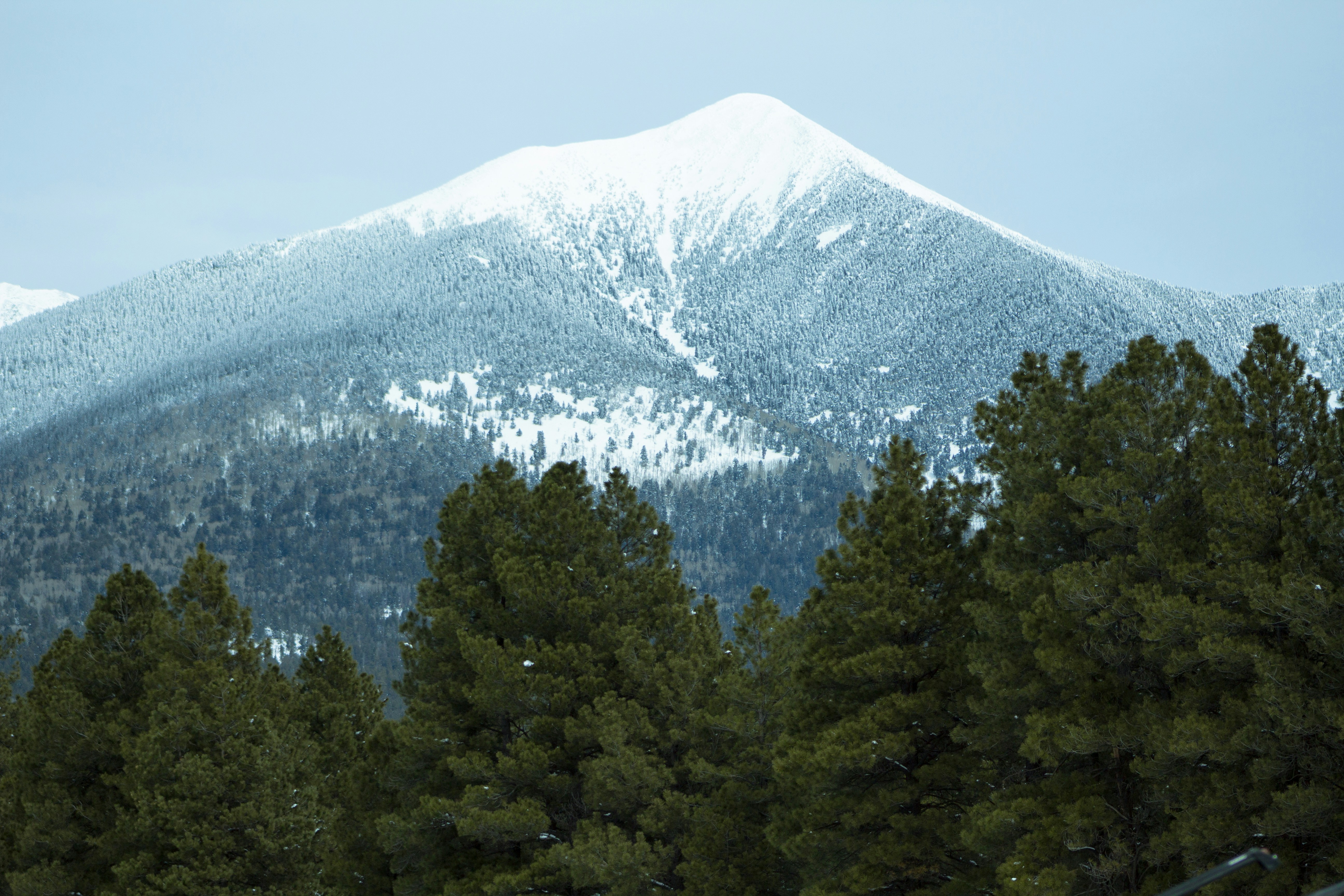 Flagstaff, AZ, USA