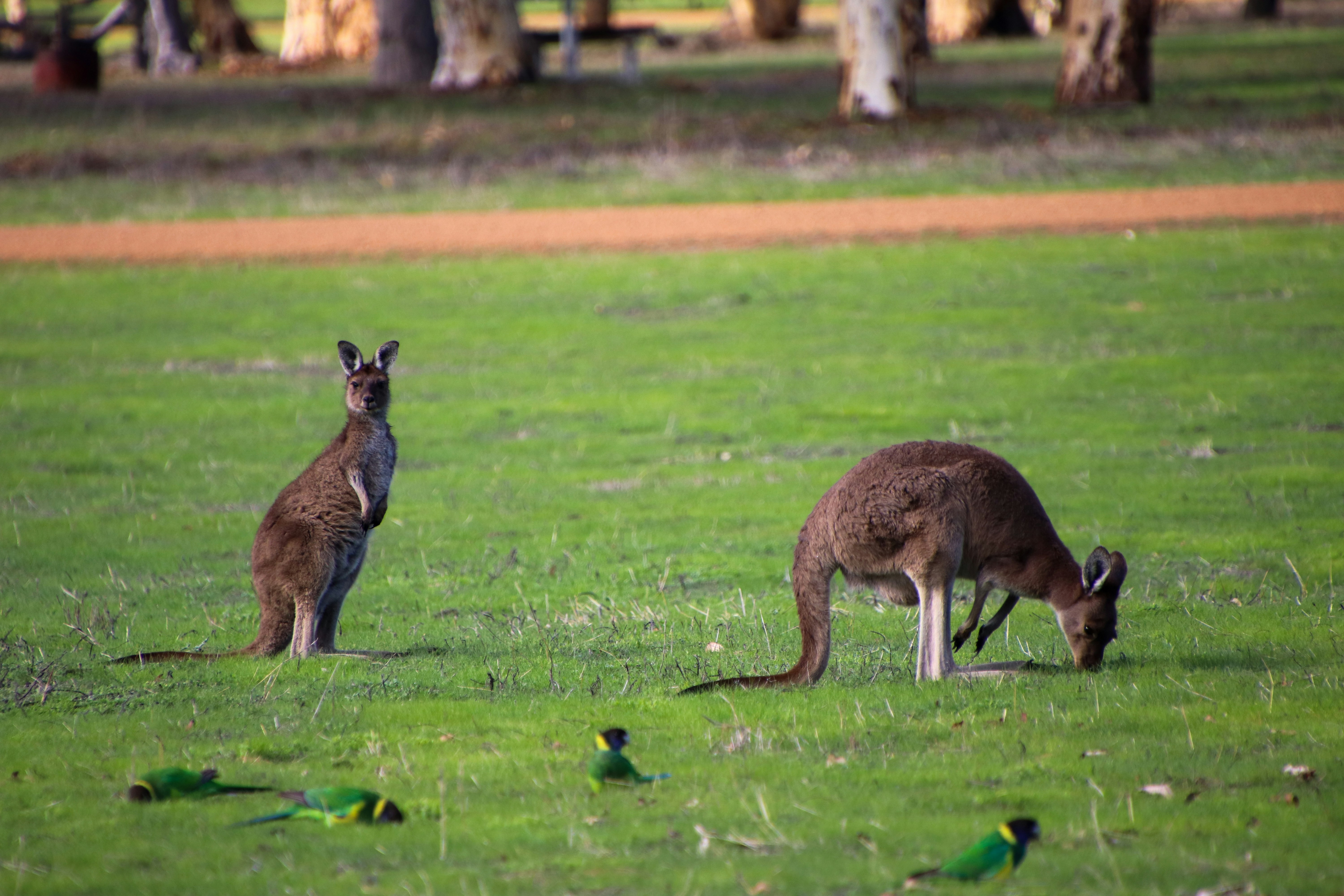 Jurien Bay WA, Australia