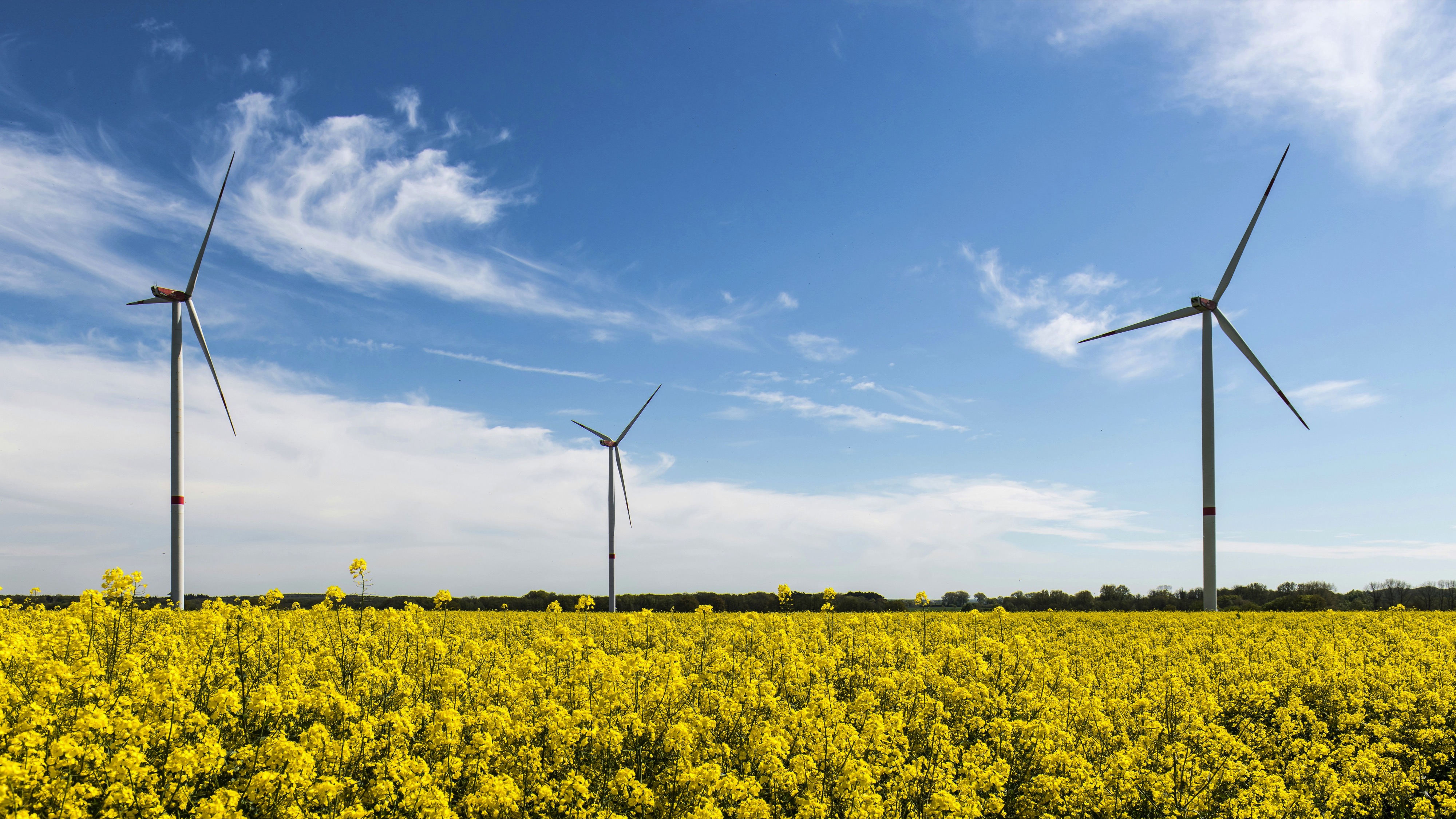 LauenburgElbe, Germany
