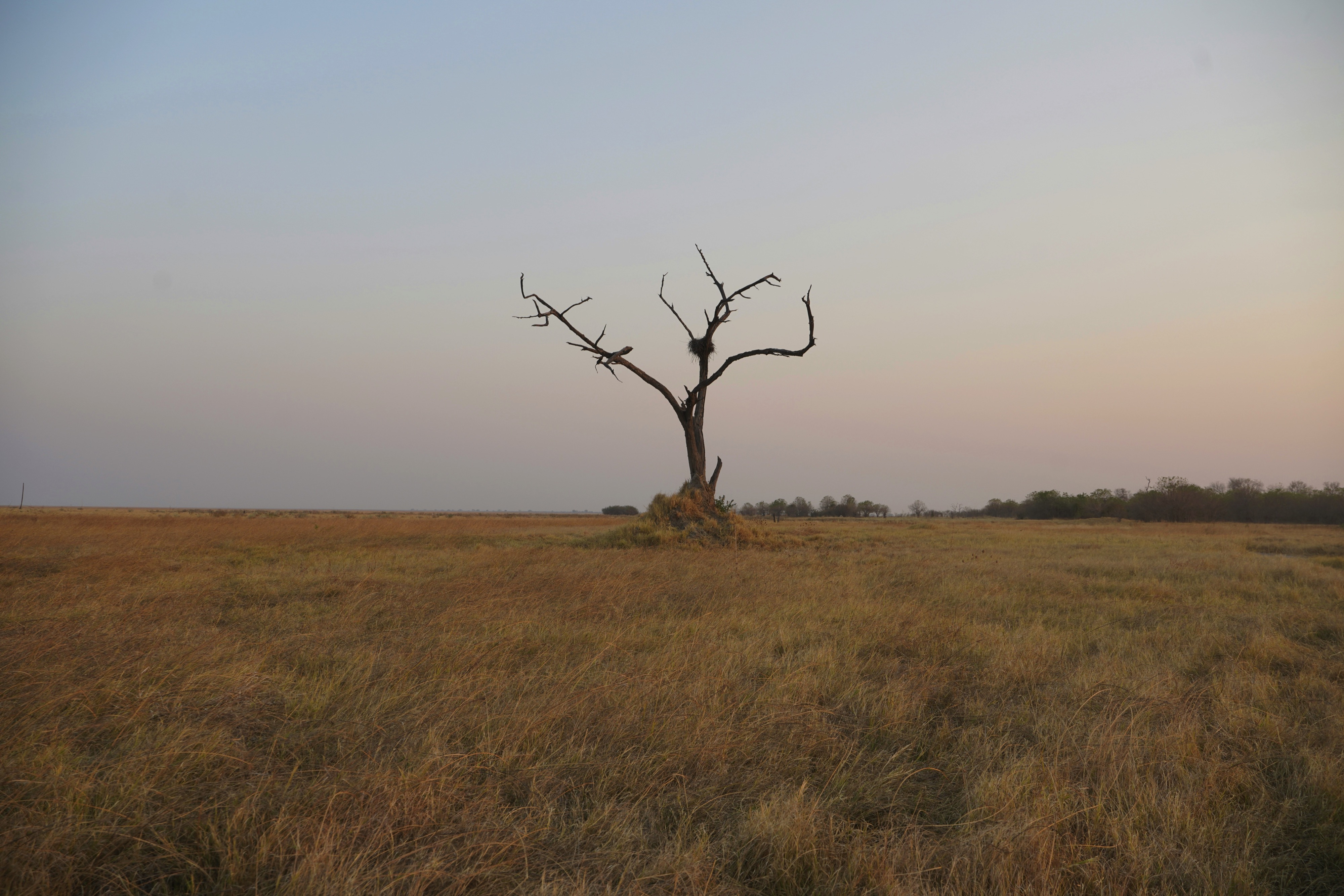 Okavango Delta Botswana, Maun, Botswana