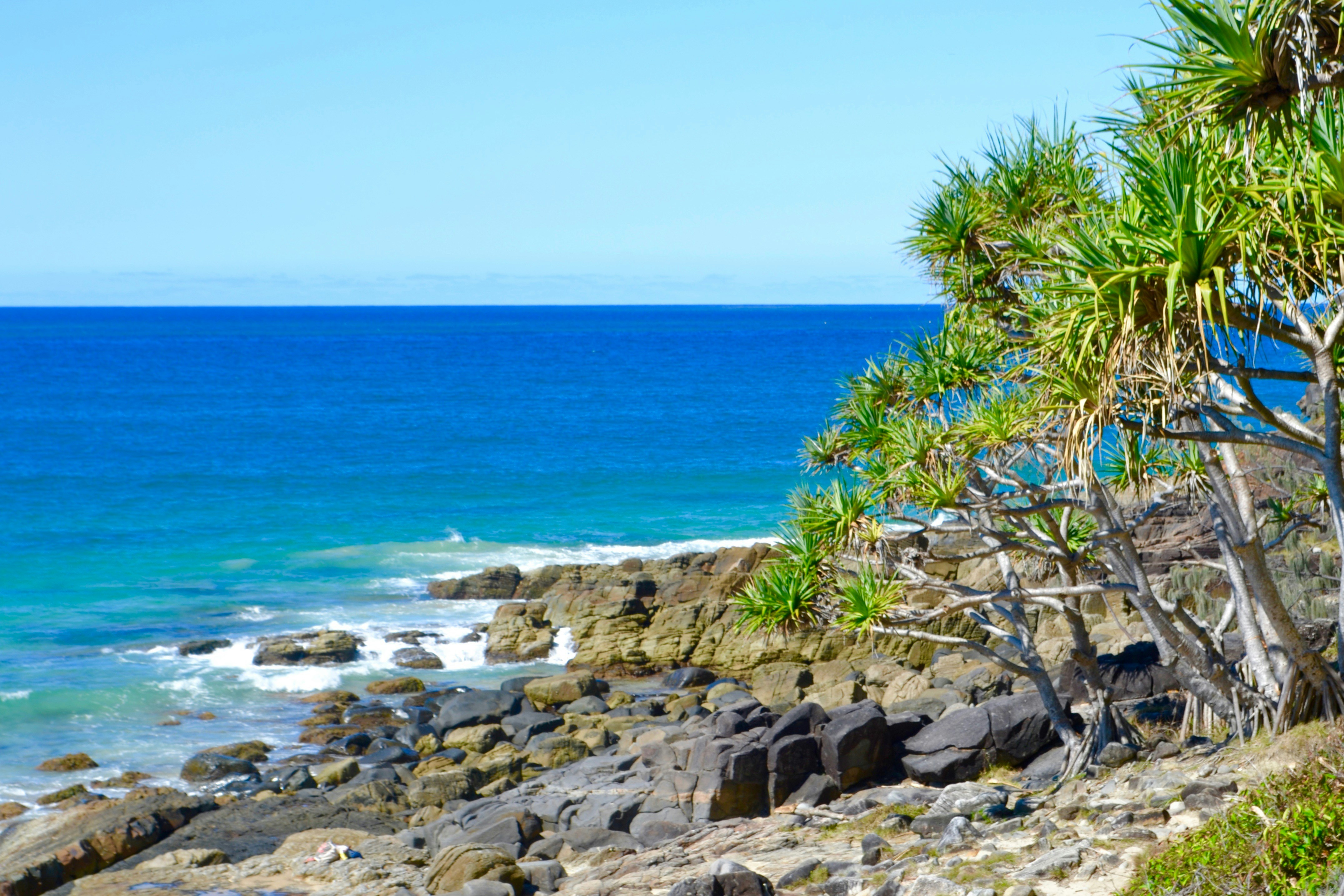 Noosa National Park, Palm Grove Circuit, Noosa Heads Queensland, Australien