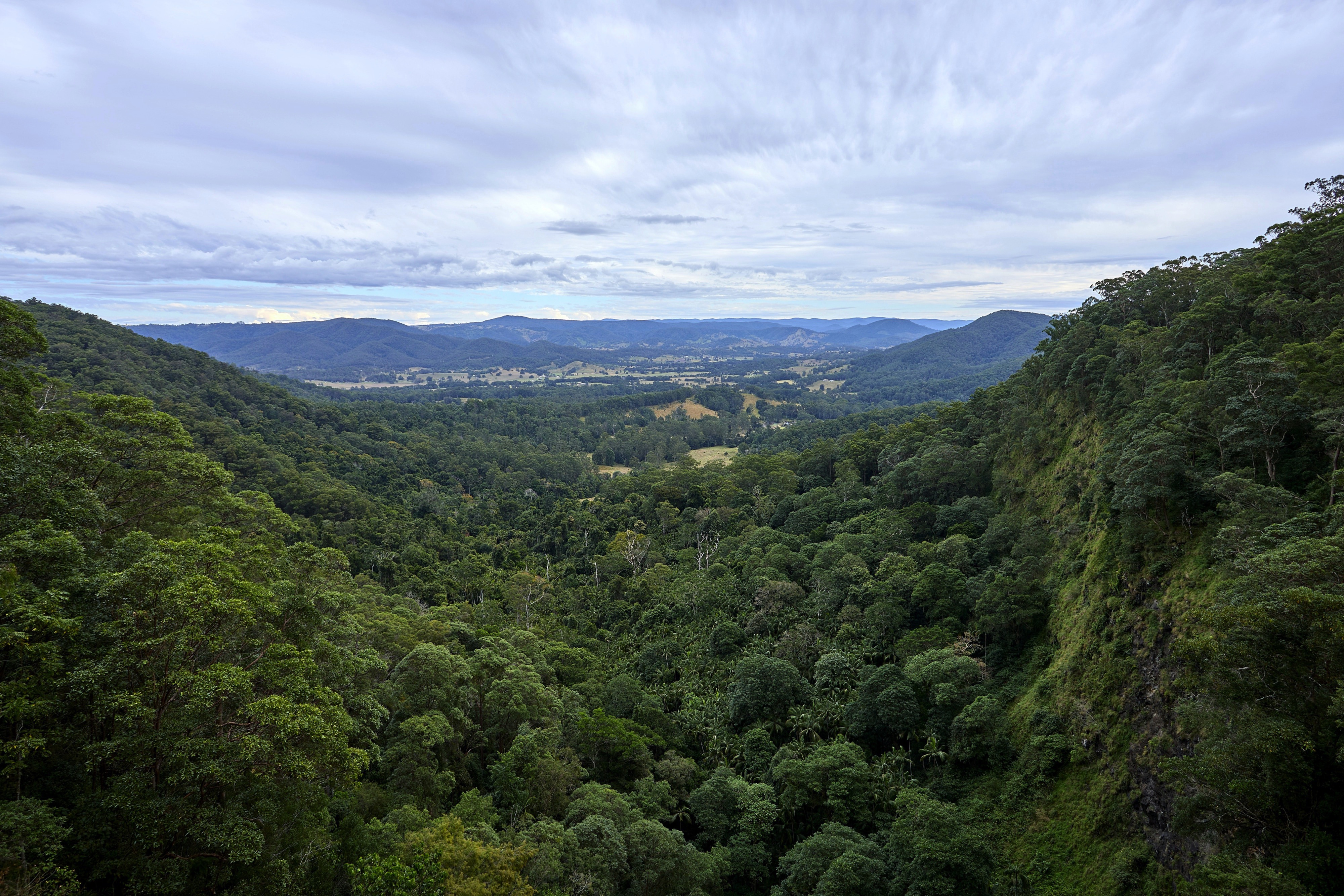 Beautiful country within the Noosa Hinterland of Queensland