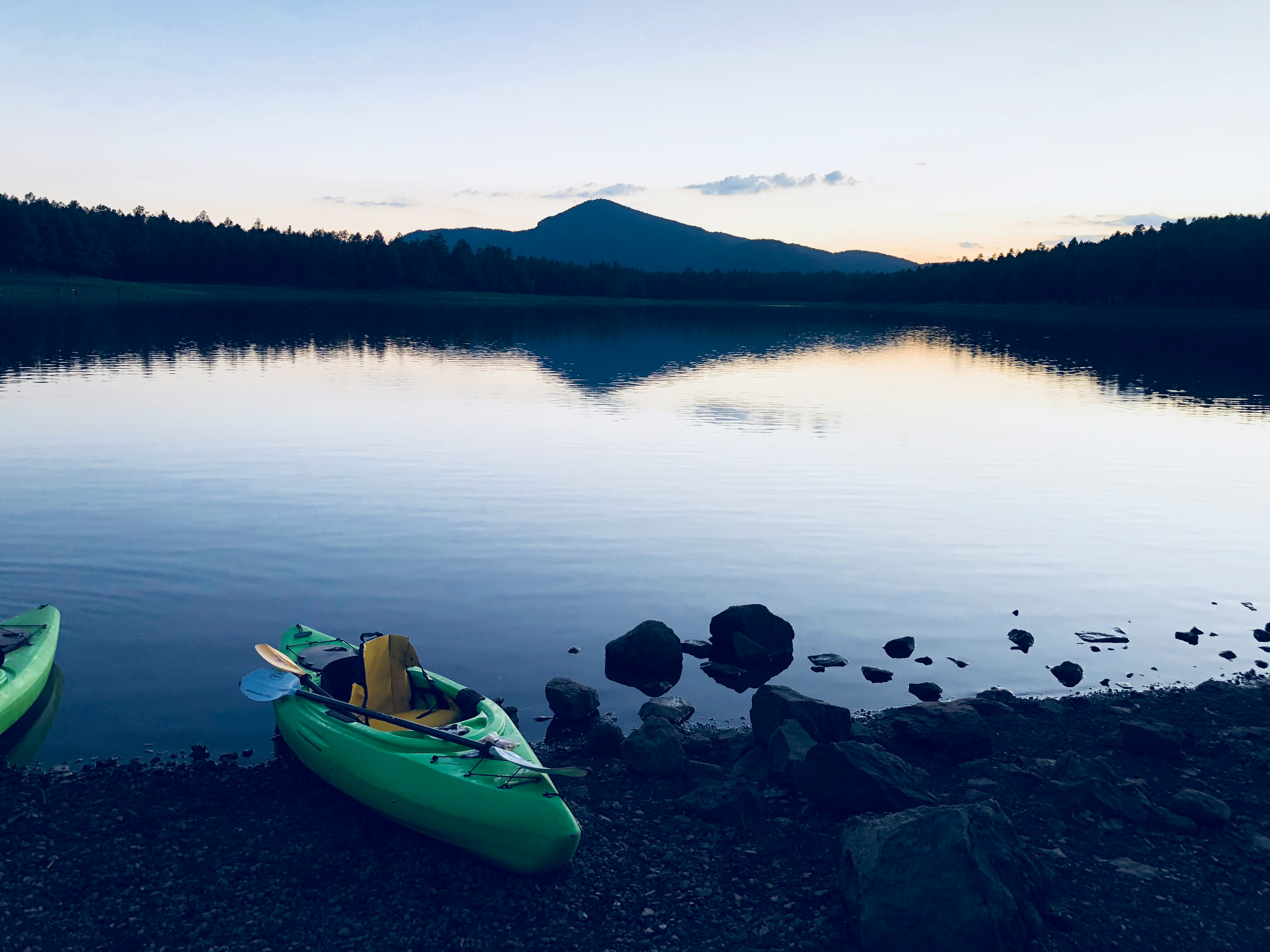 Dogtown Rd, Williams, AZ 86046, USA, United States