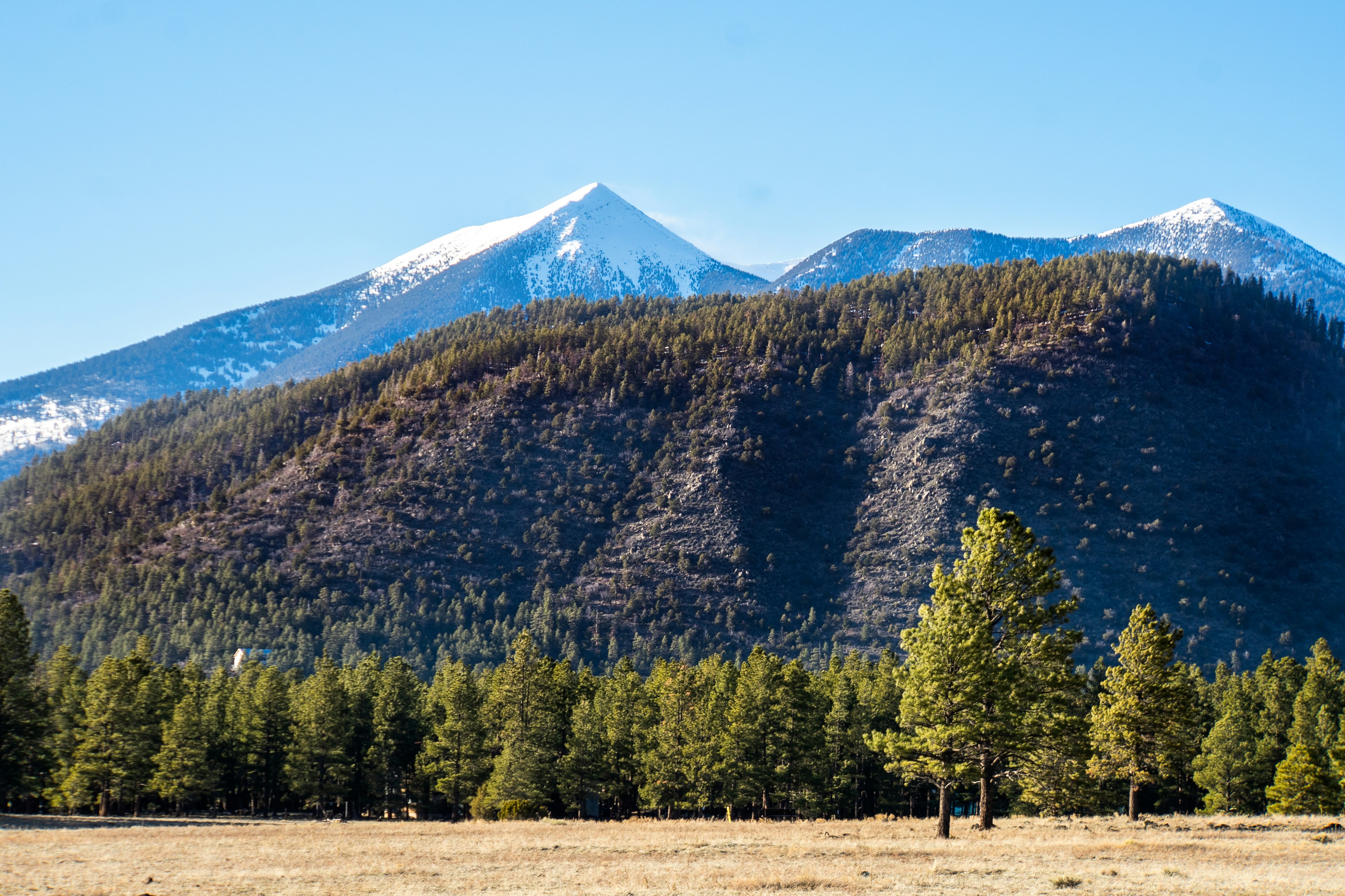 Flagstaff, AZ, USA